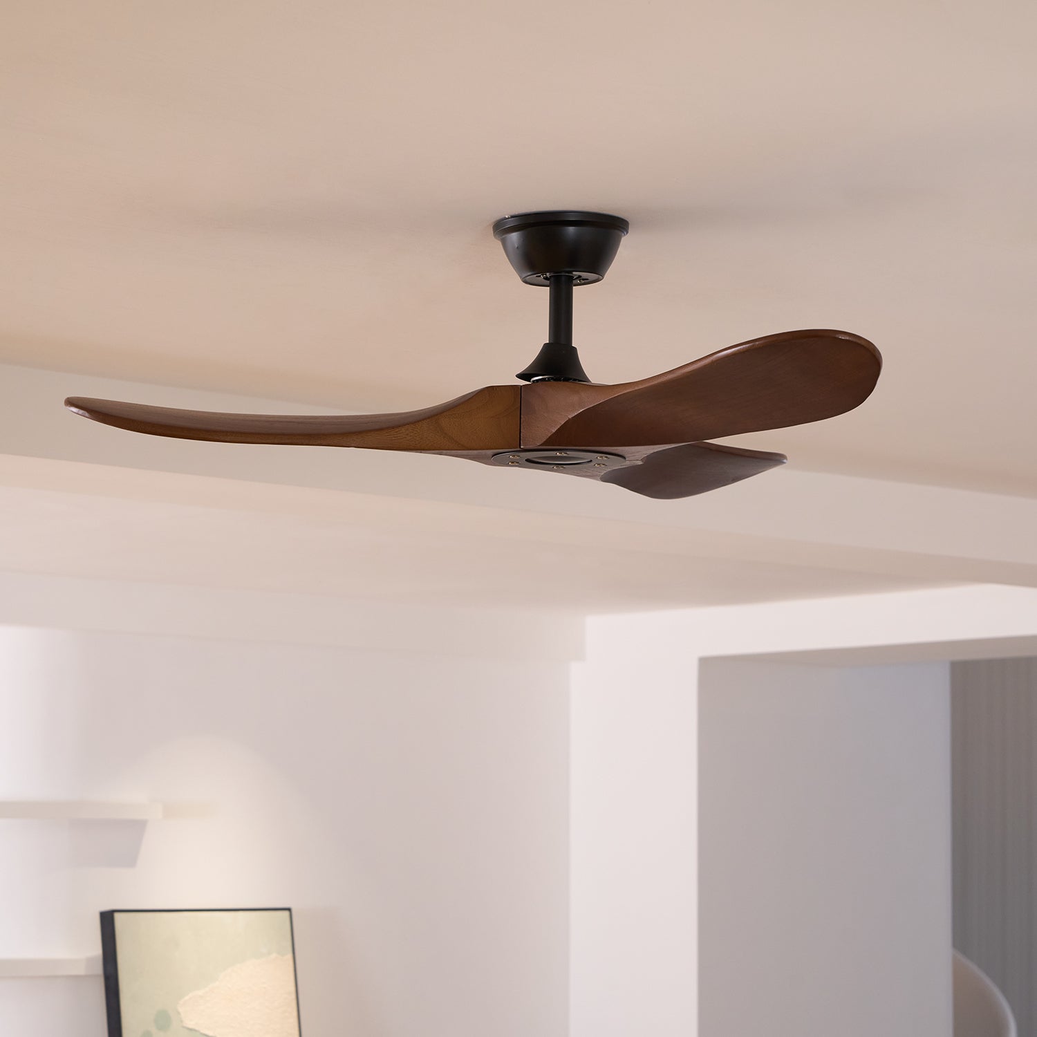 Zoheran Ceiling Fan