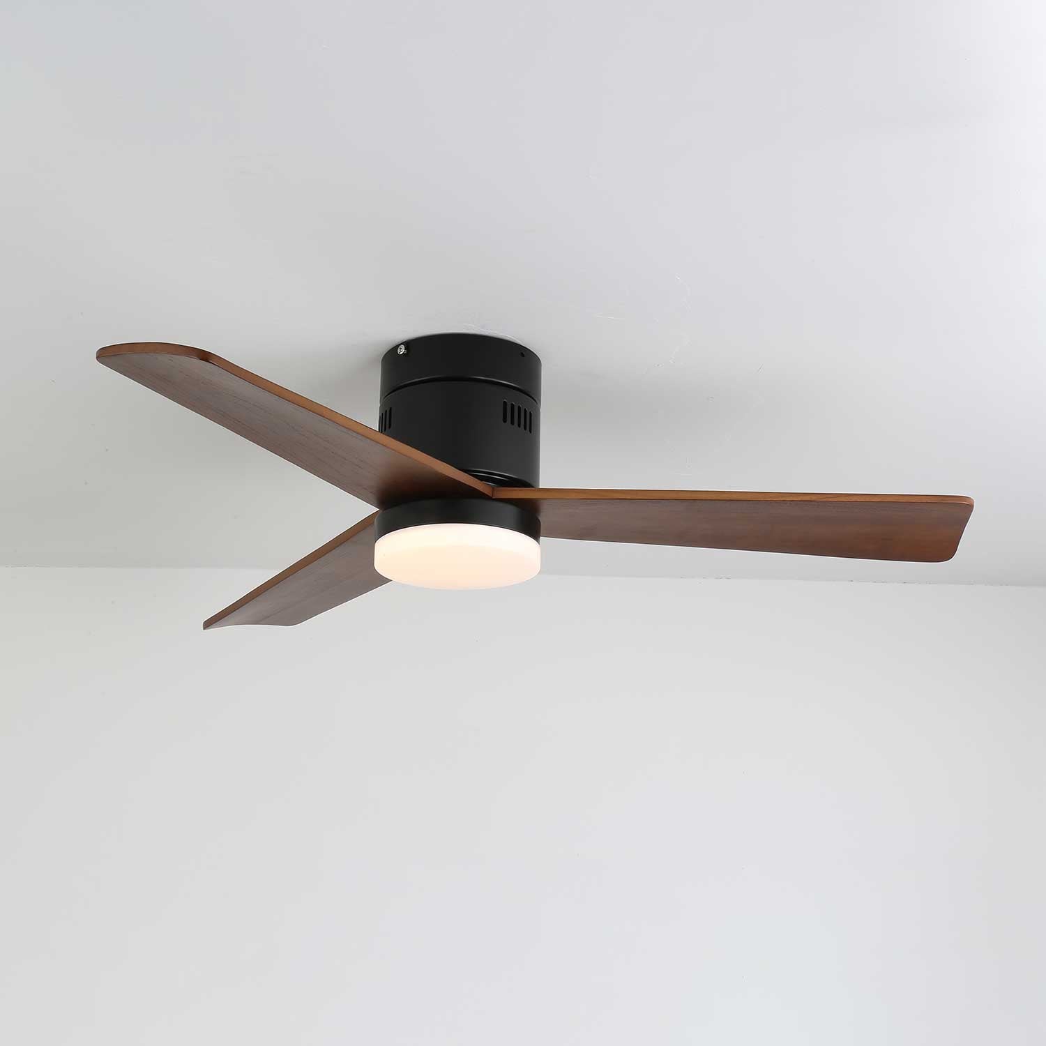 Lorenna Modern Ceiling Fan Light