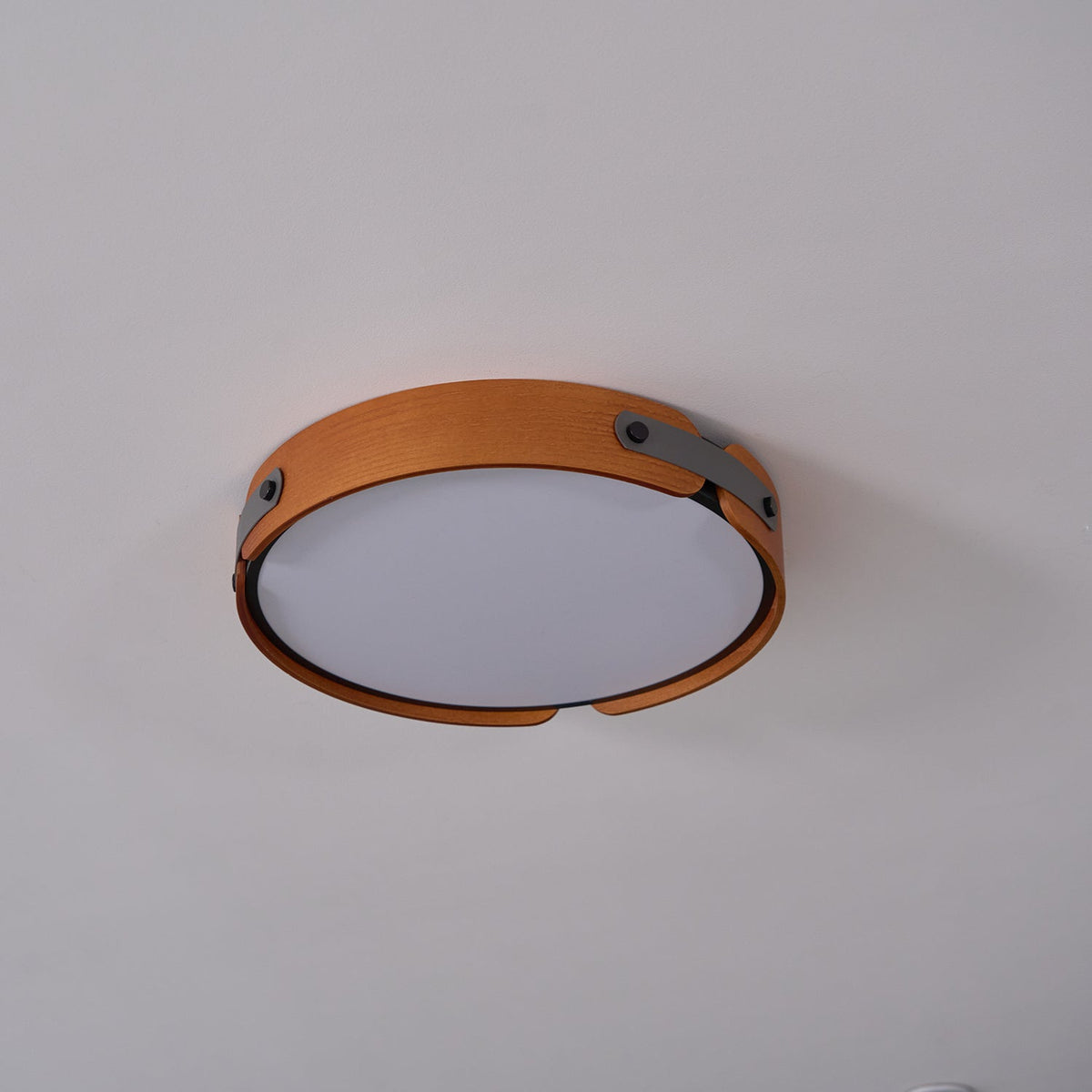Bexe Outdoor Ceiling Light