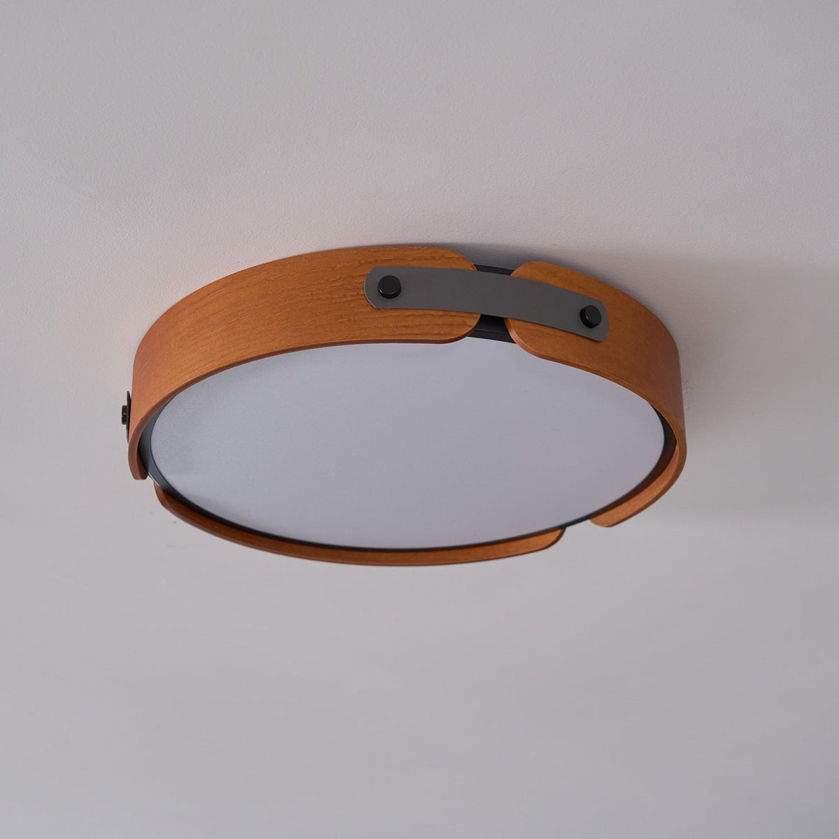 Bexe Outdoor Ceiling Light