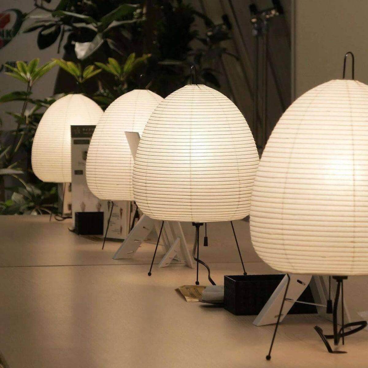 Bevenzo Table Lamp
