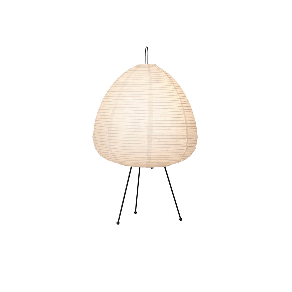 Allenla Lantern Table Lamp