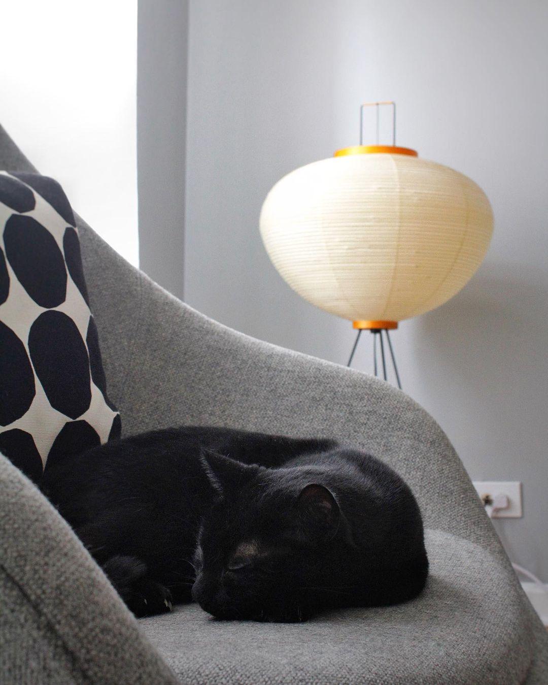 Alellan Sculptural Floor Lamp