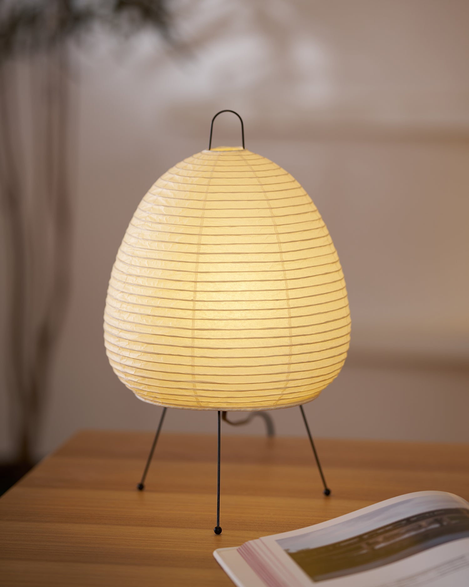 Allenla Lantern Table Lamp