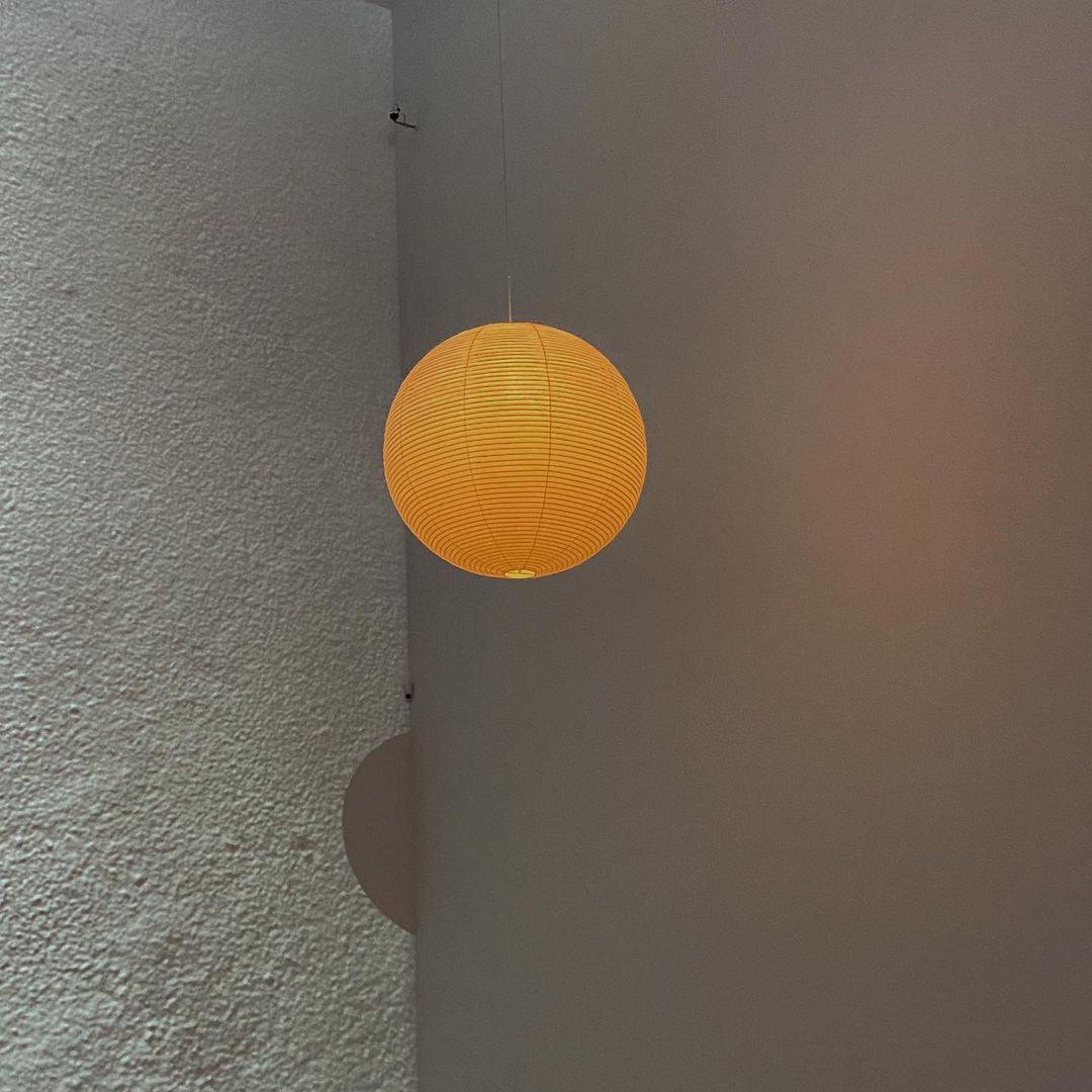 Hulinor Globe Pendant Light