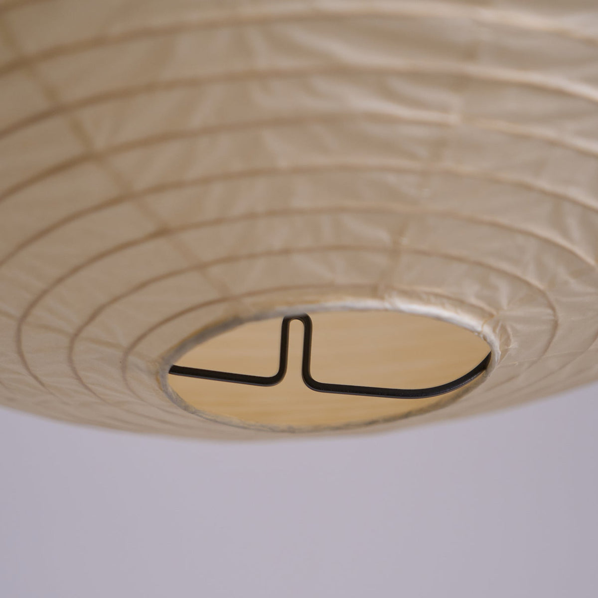 Hulinor Globe Pendant Light