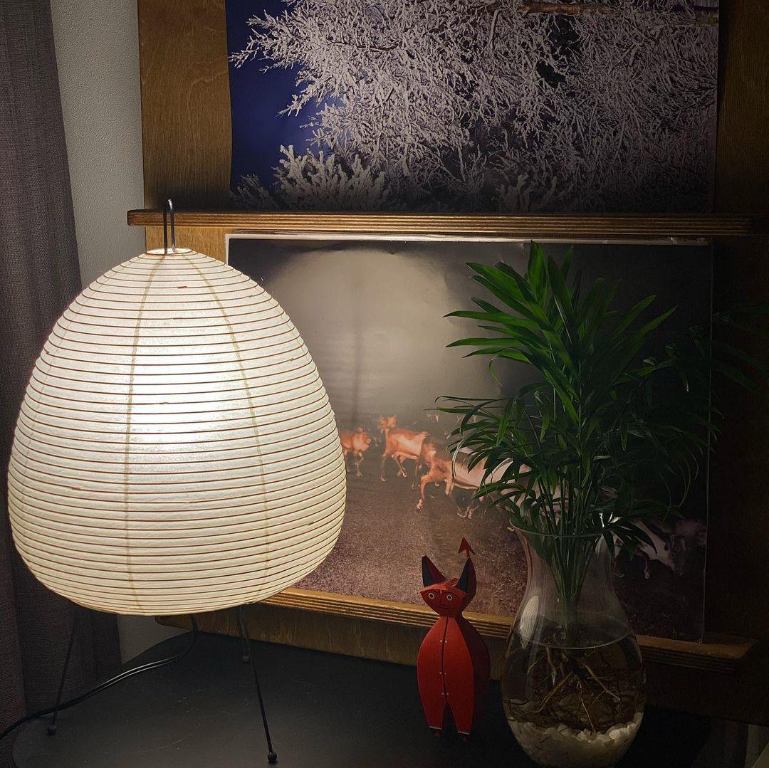Allenla Lantern Table Lamp