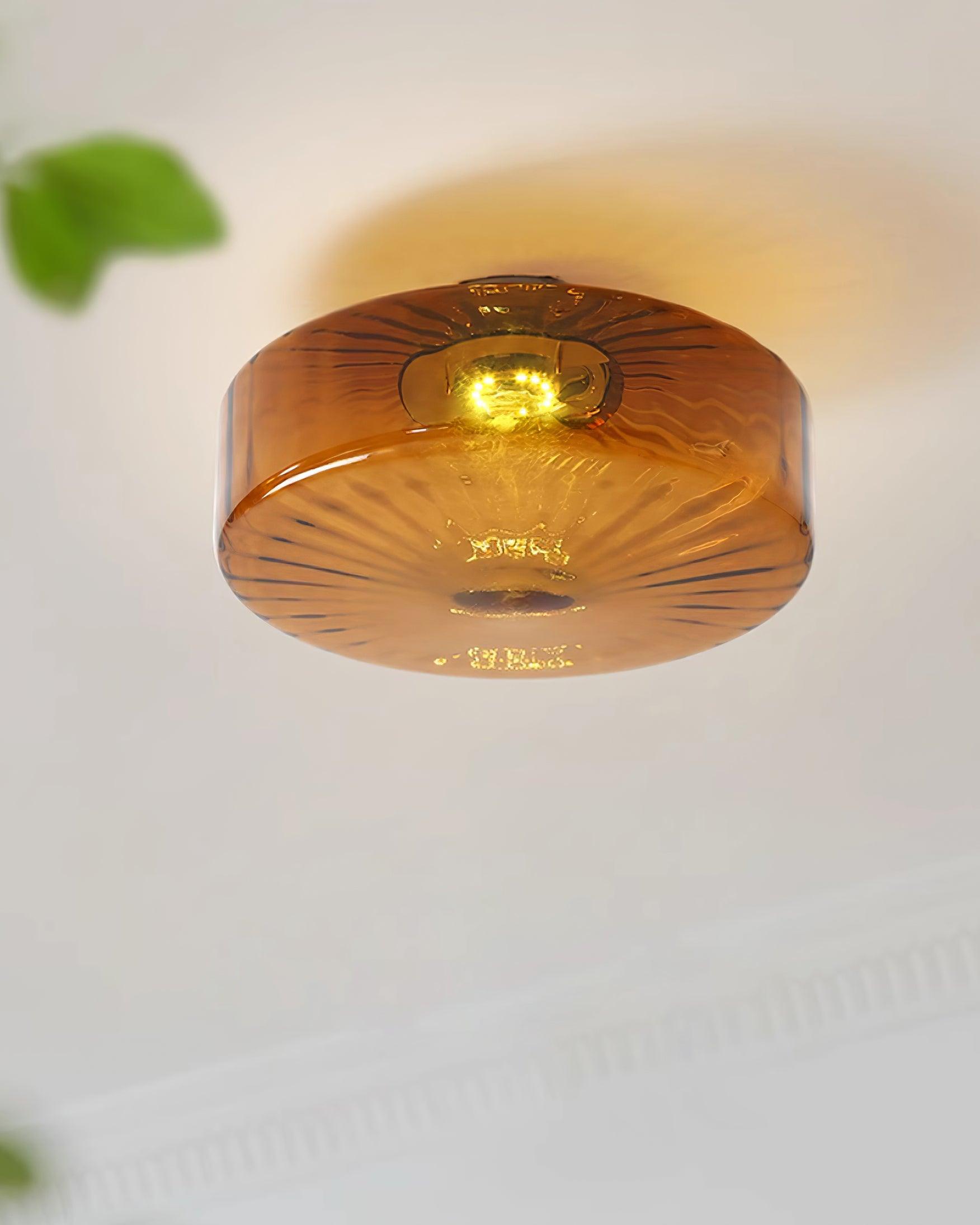 Belonessa Ceiling Light