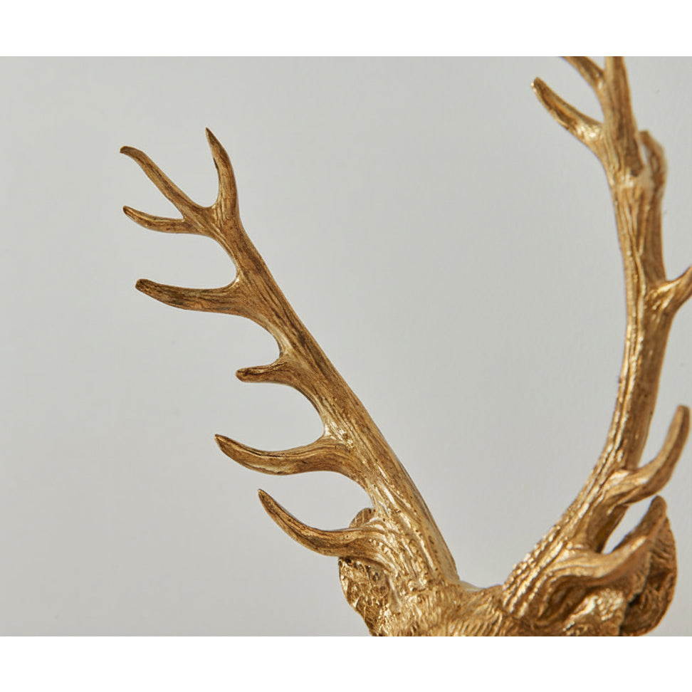 Gesenor Sculptural Wall Light