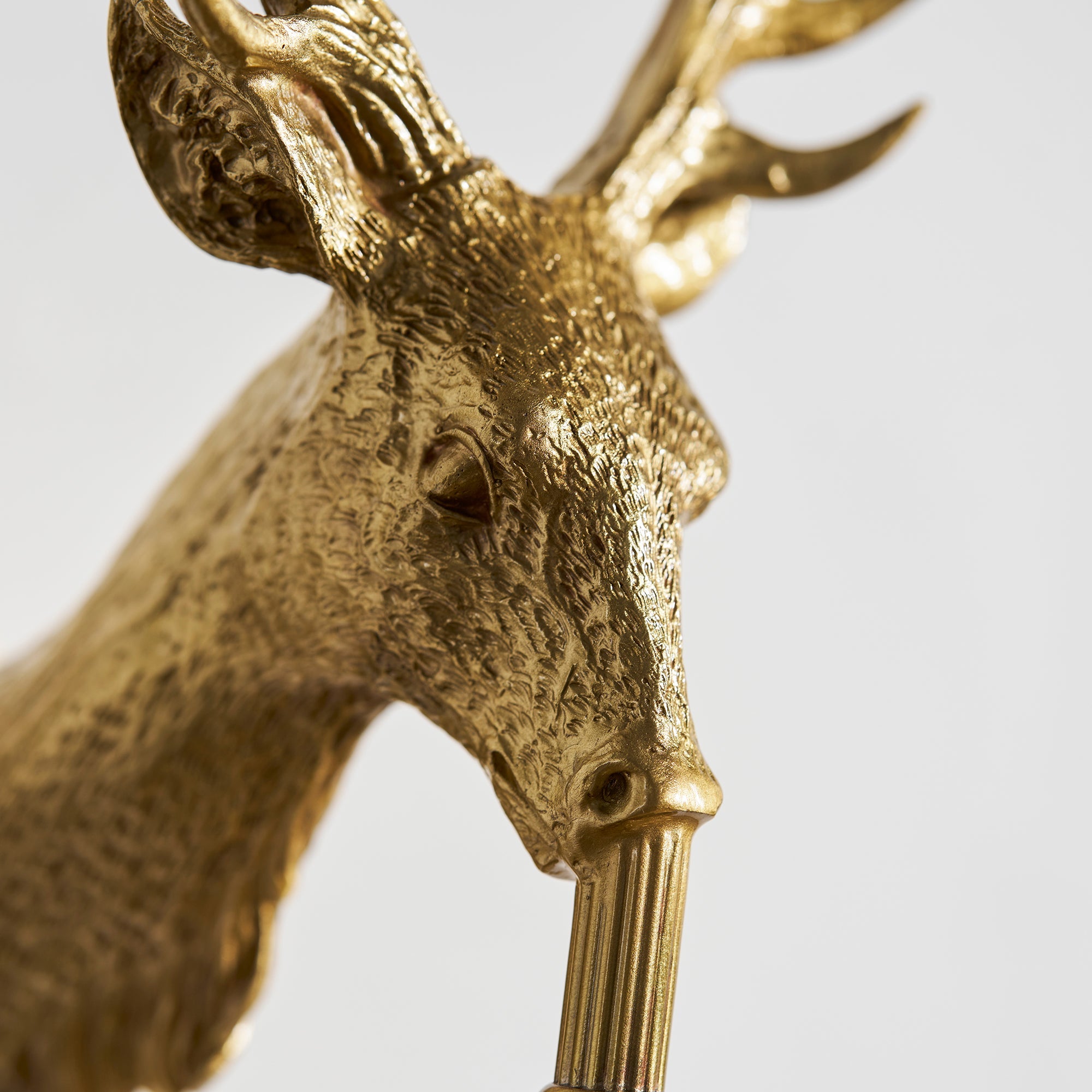 Gesenor Sculptural Wall Light