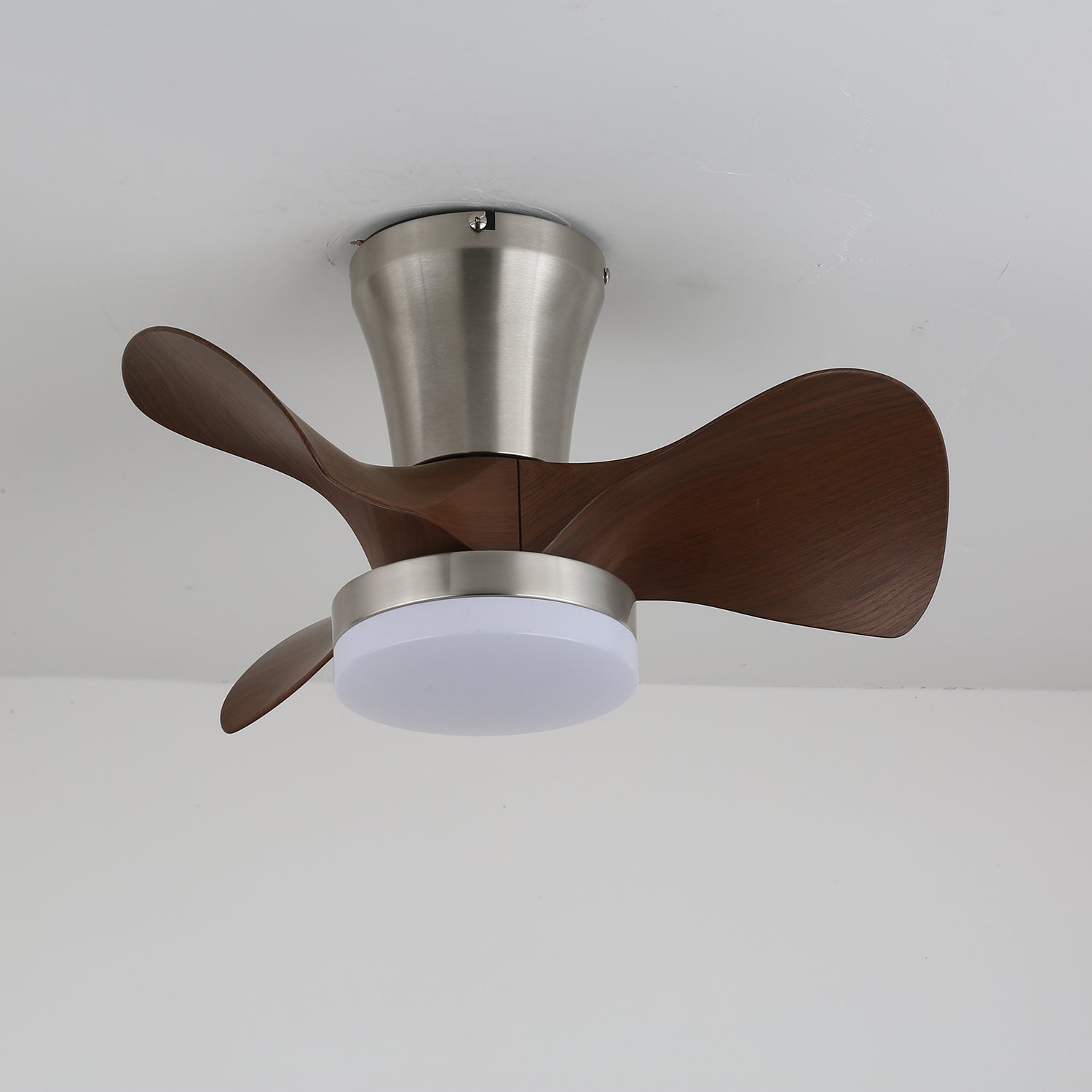 Velera Ceiling Fan Light