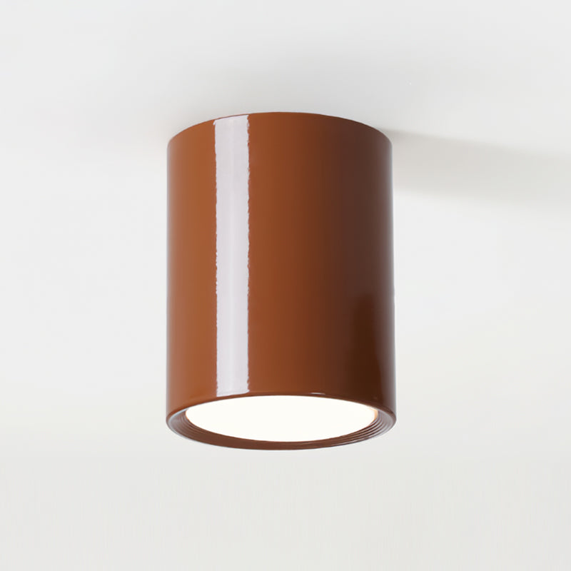 Inau Minimalist Ceiling Light