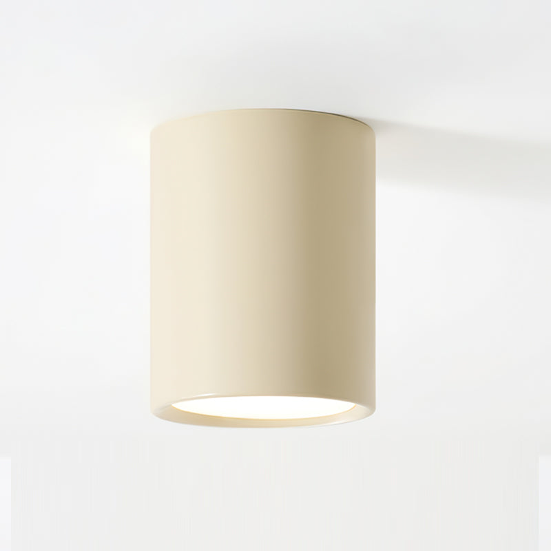 Inau Minimalist Ceiling Light