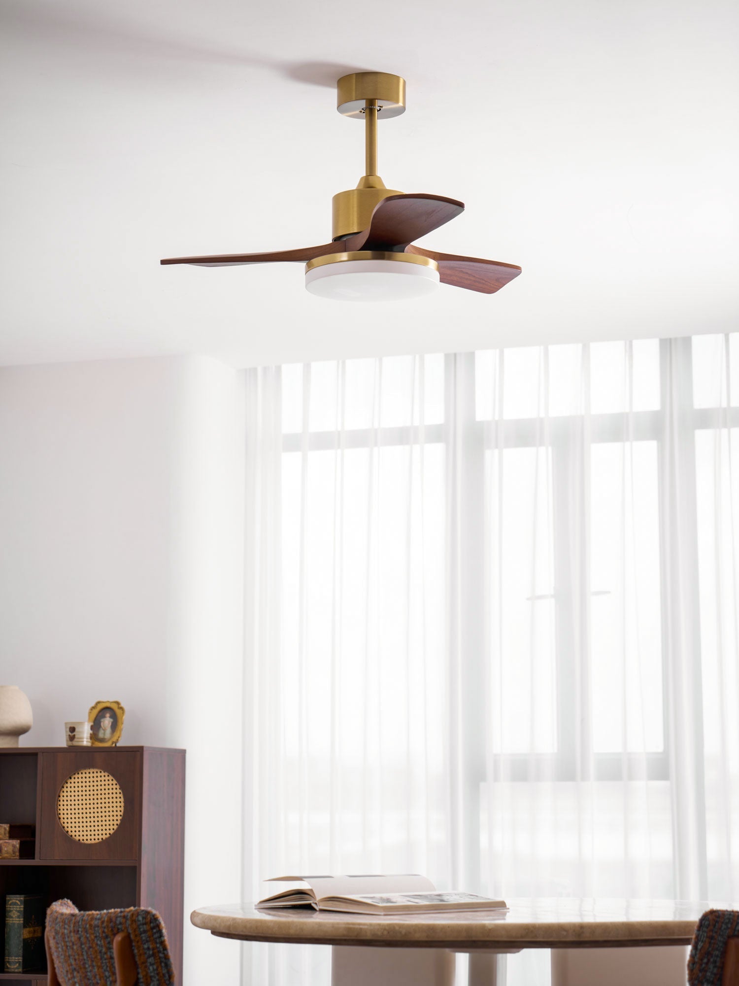 Eloria Ceiling Fan Light