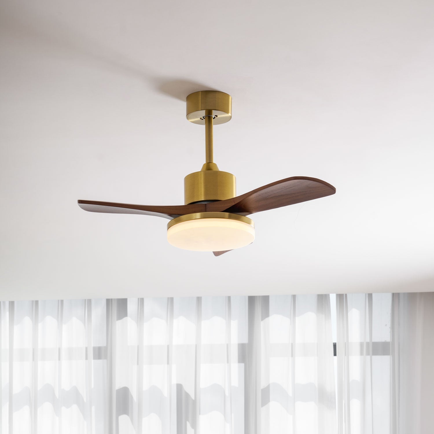 Eloria Ceiling Fan Light