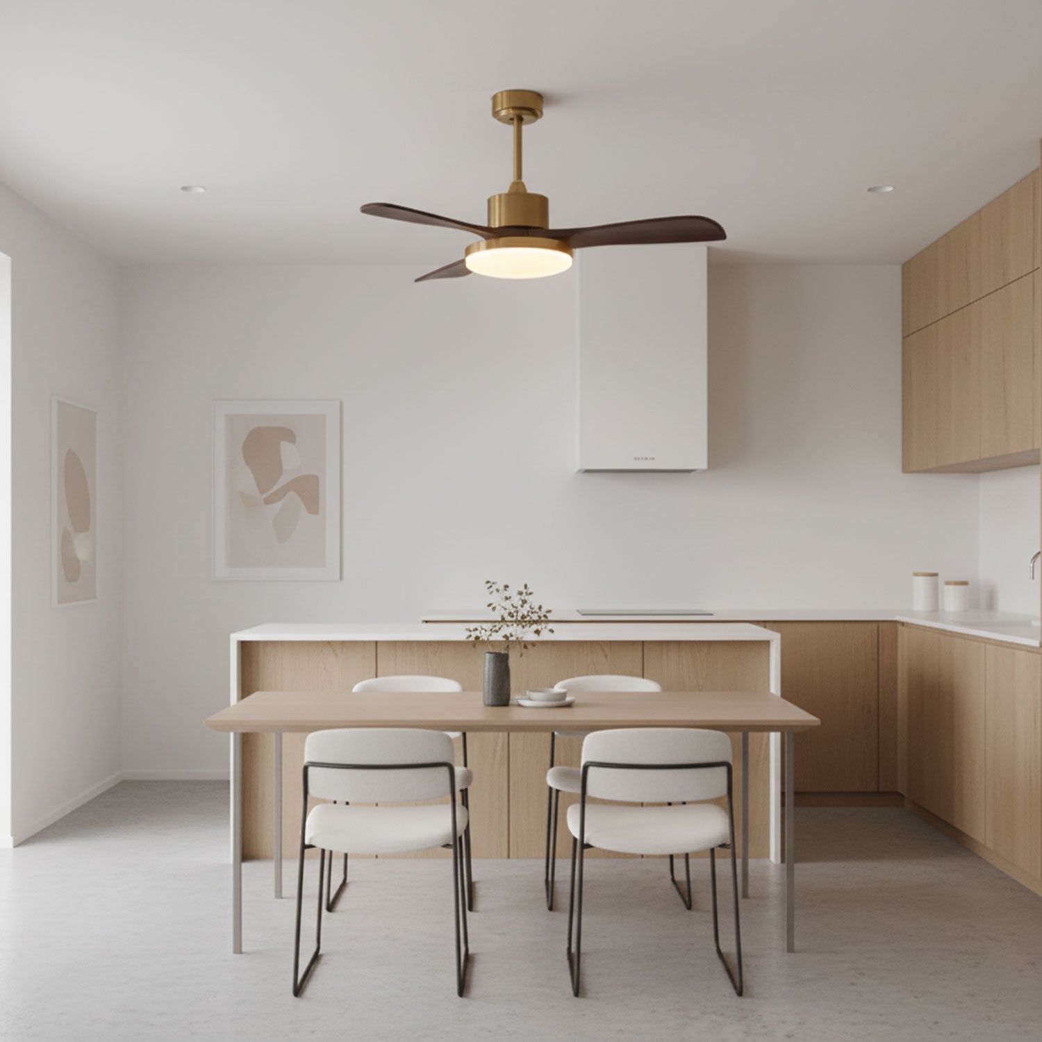 Eloria Ceiling Fan Light