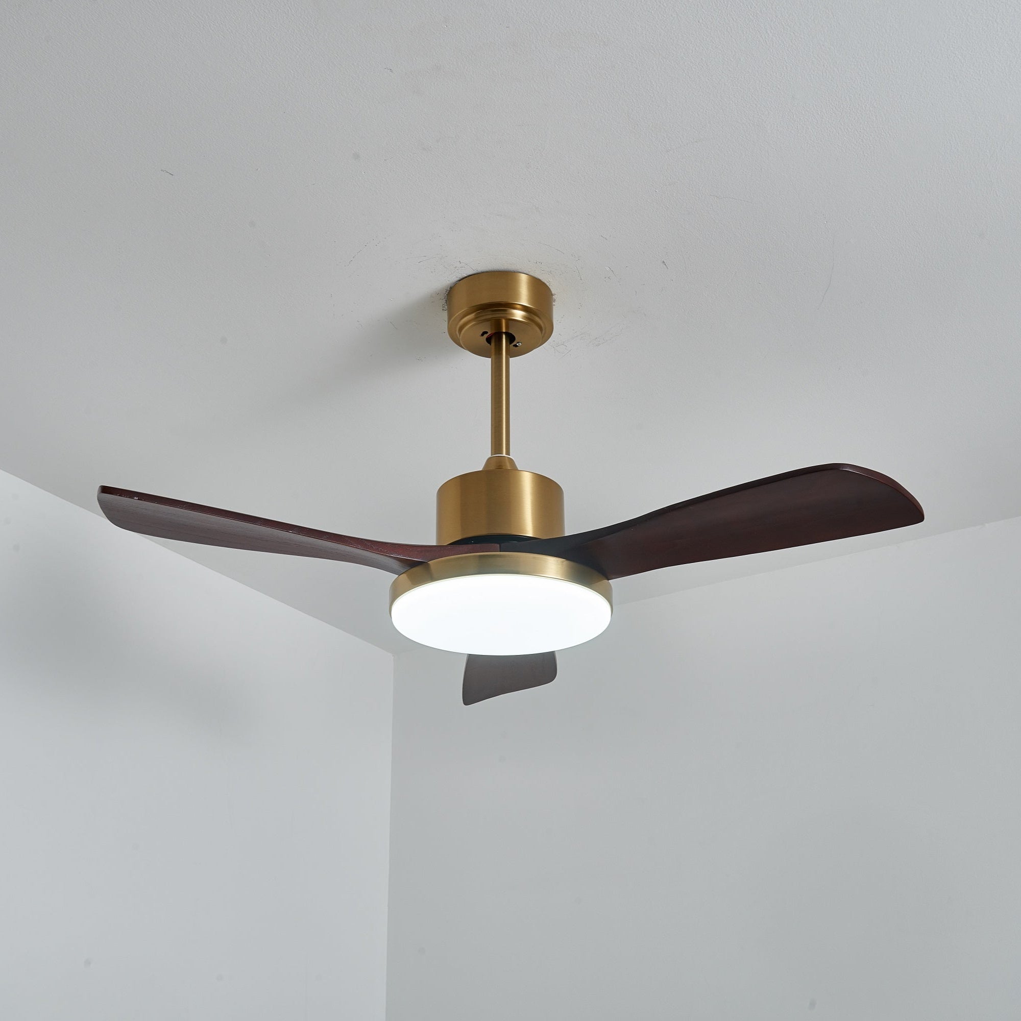 Eloria Ceiling Fan Light