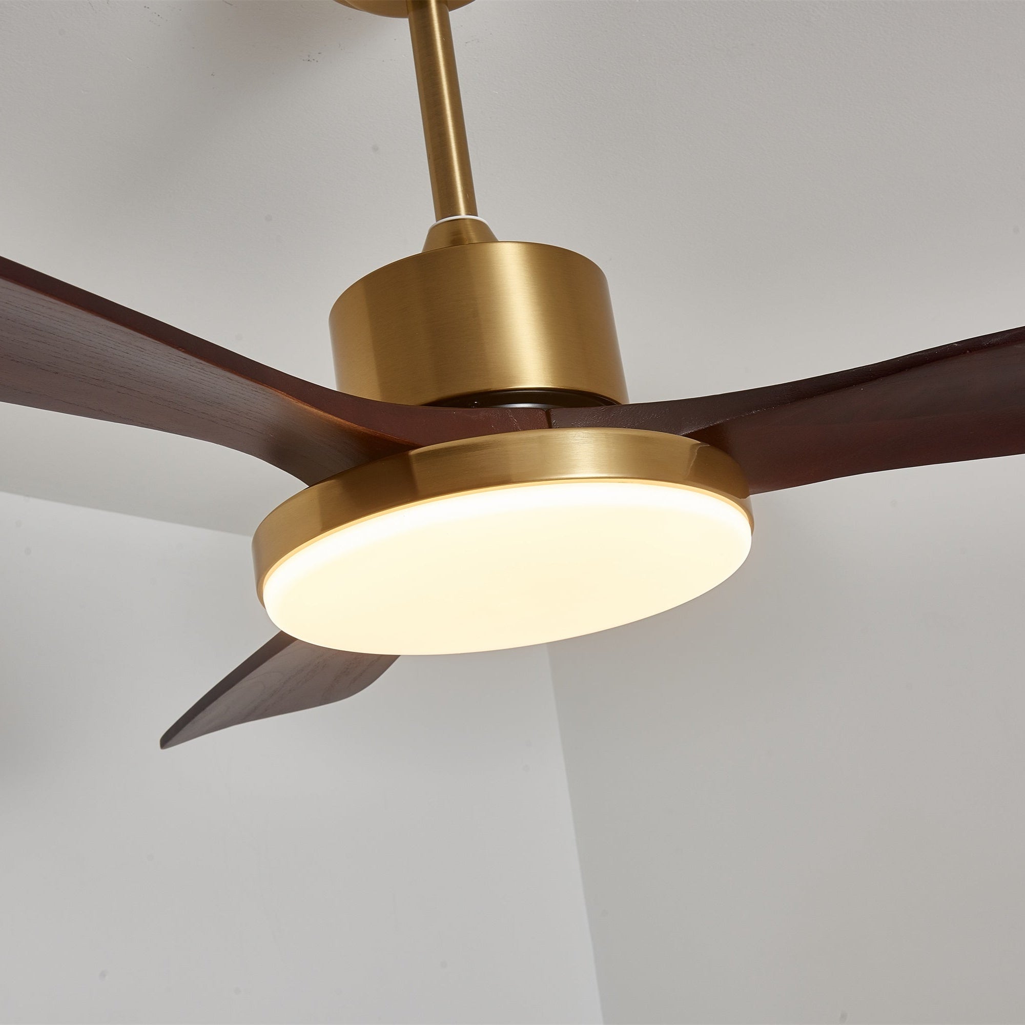 Eloria Ceiling Fan Light