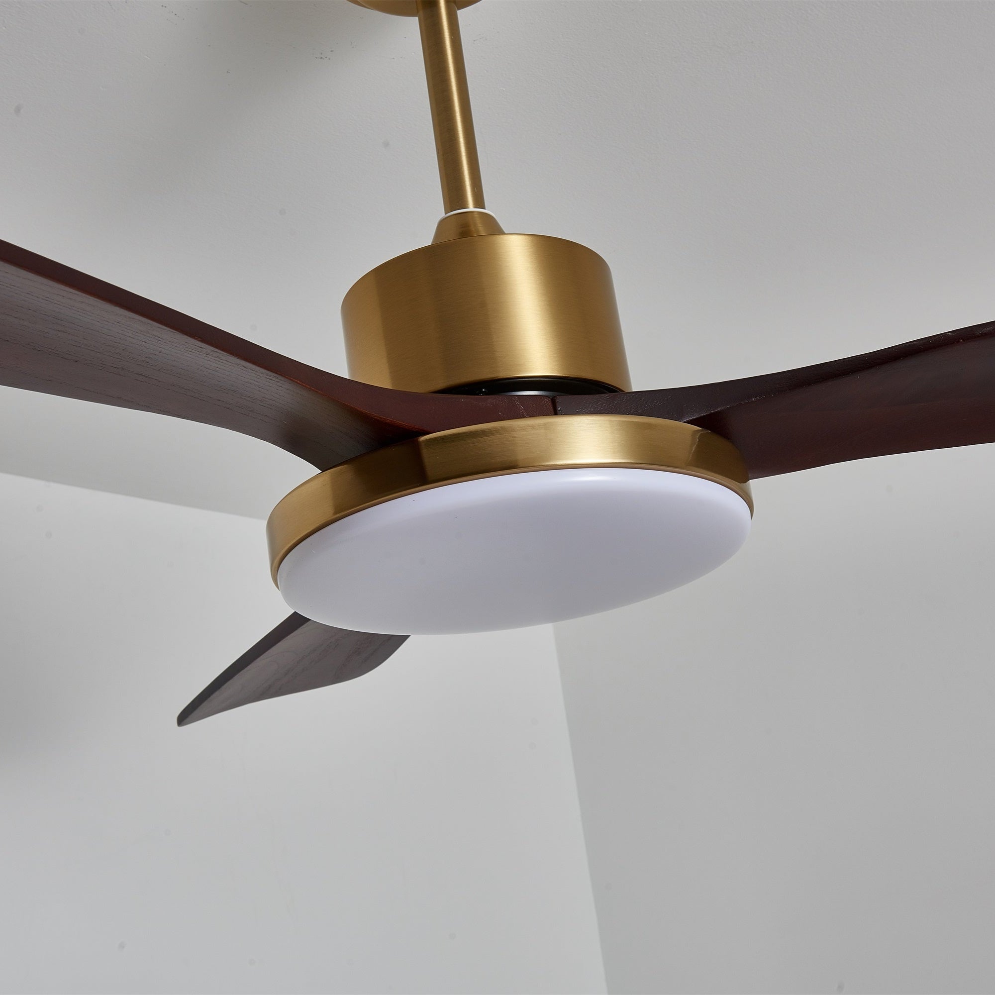 Eloria Ceiling Fan Light