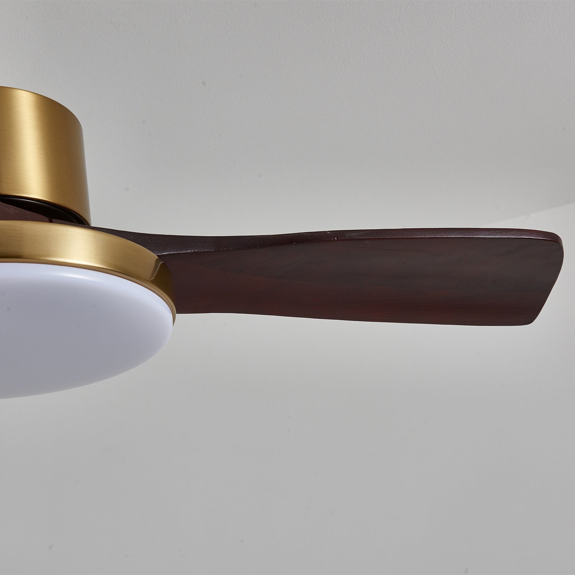 Eloria Ceiling Fan Light