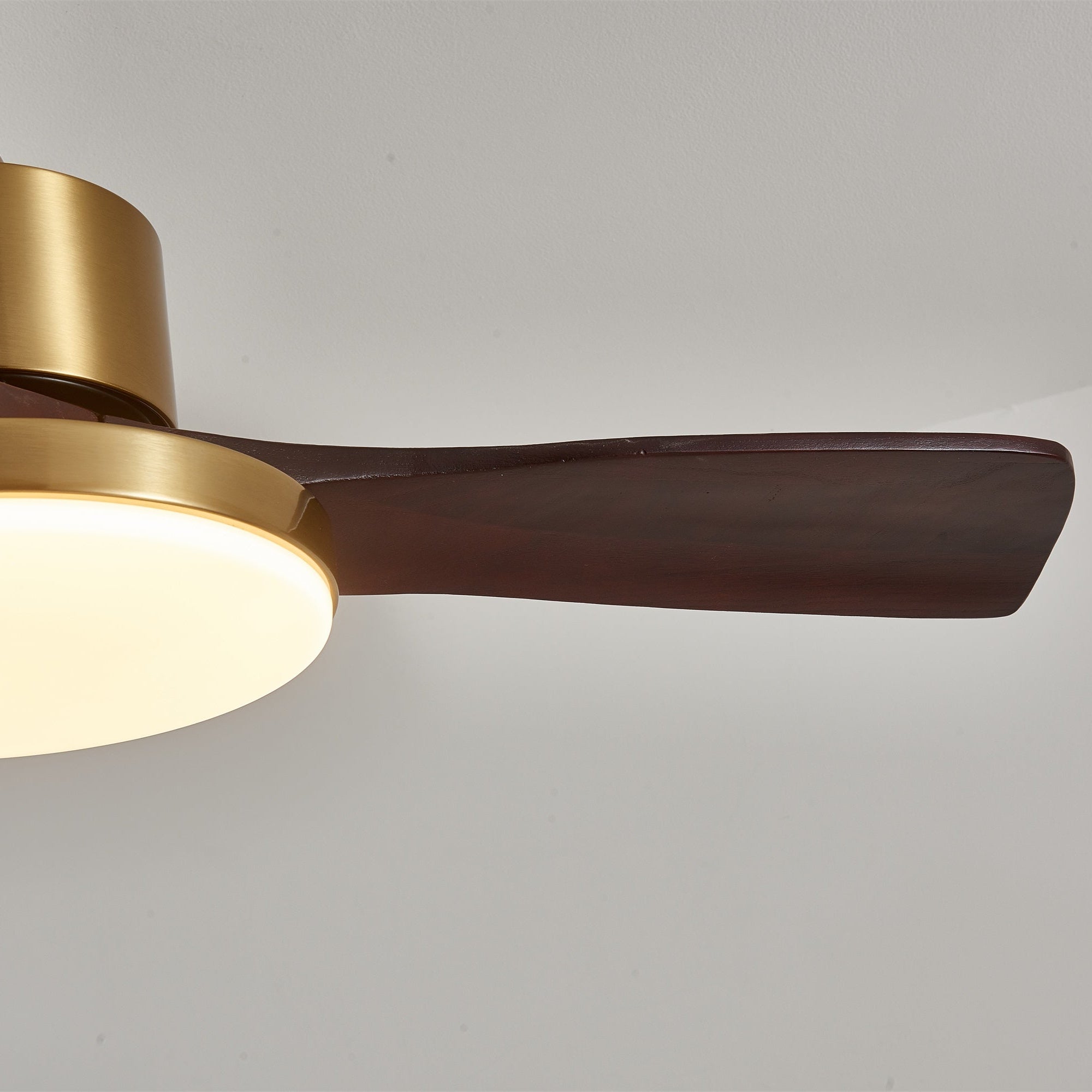 Eloria Ceiling Fan Light