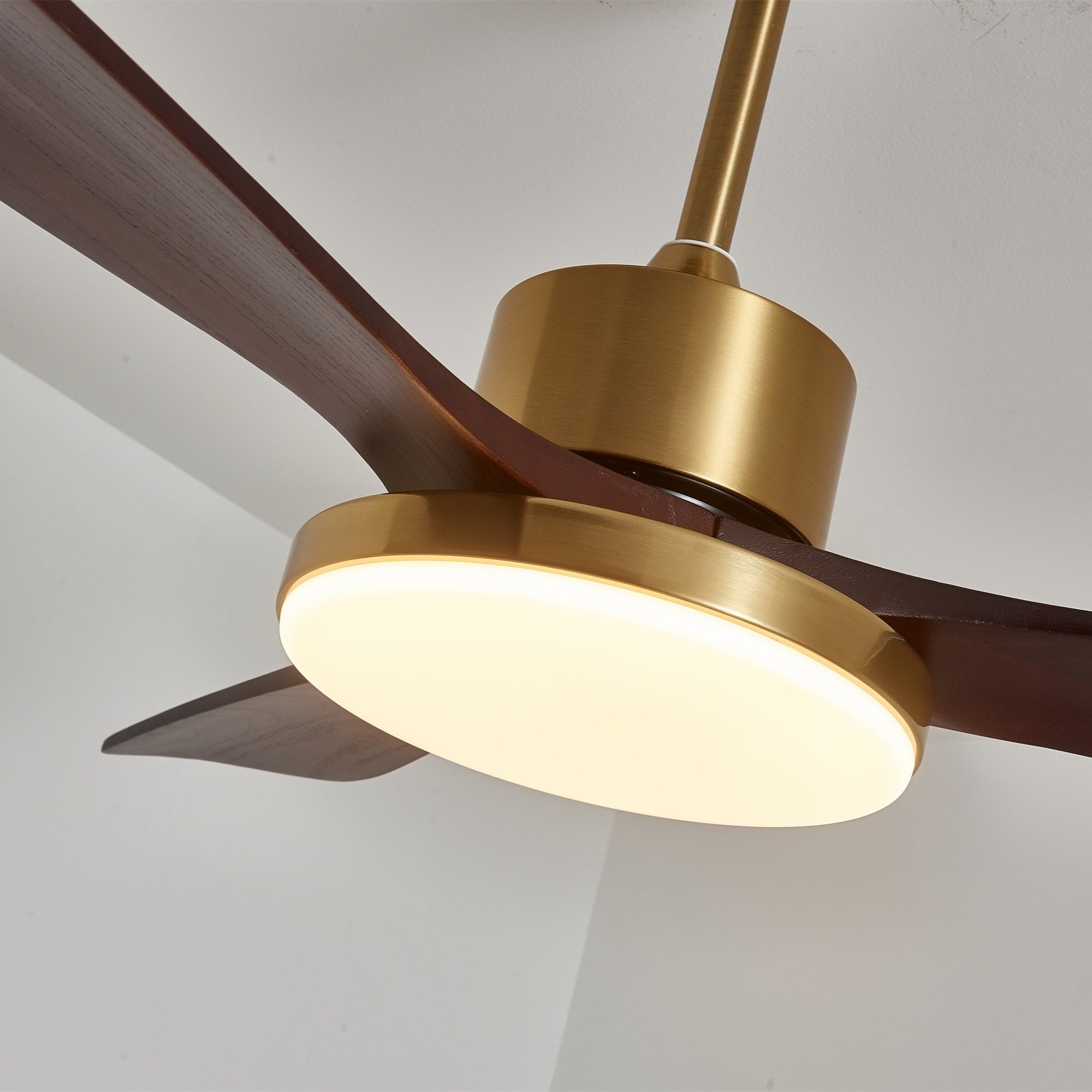 Eloria Ceiling Fan Light