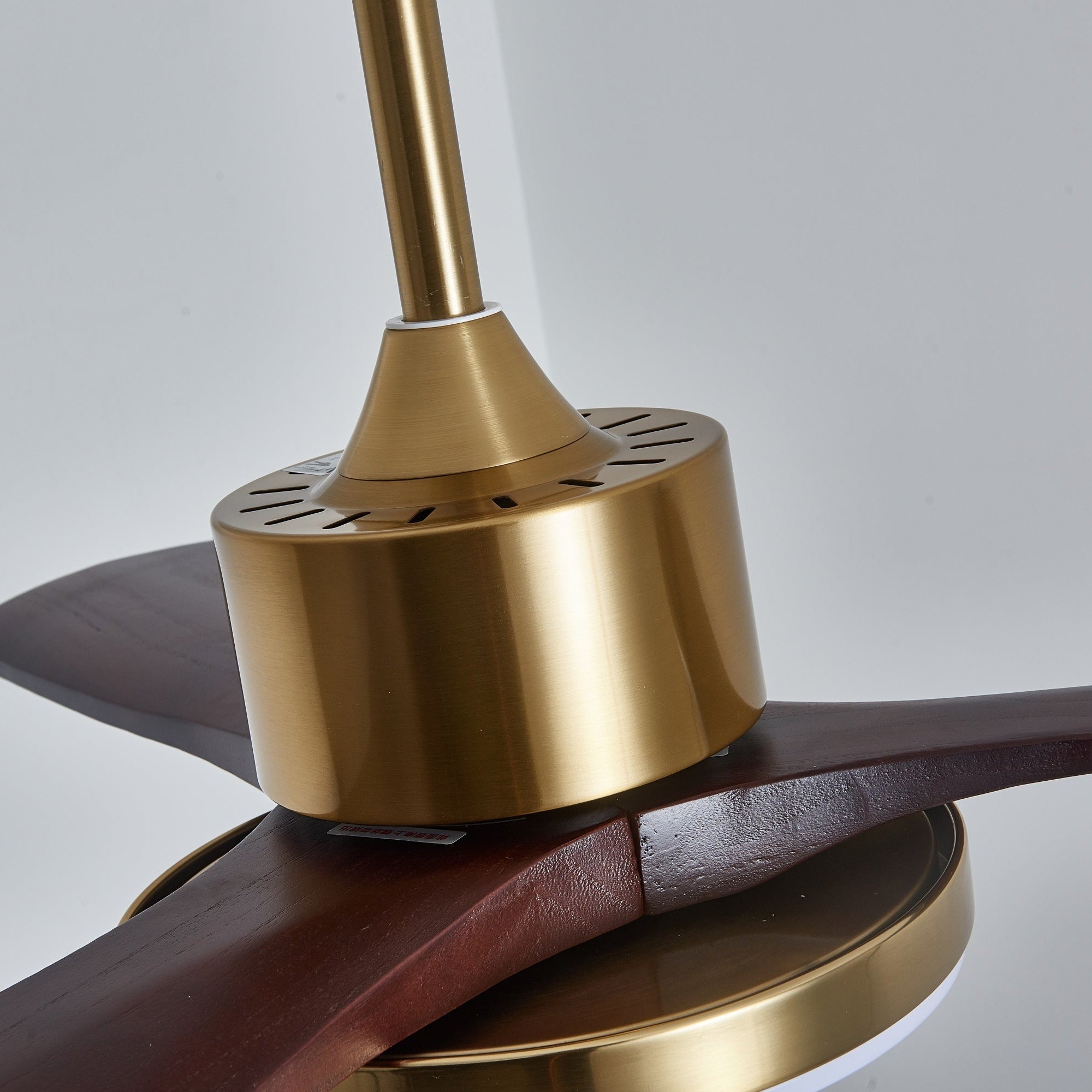 Eloria Ceiling Fan Light