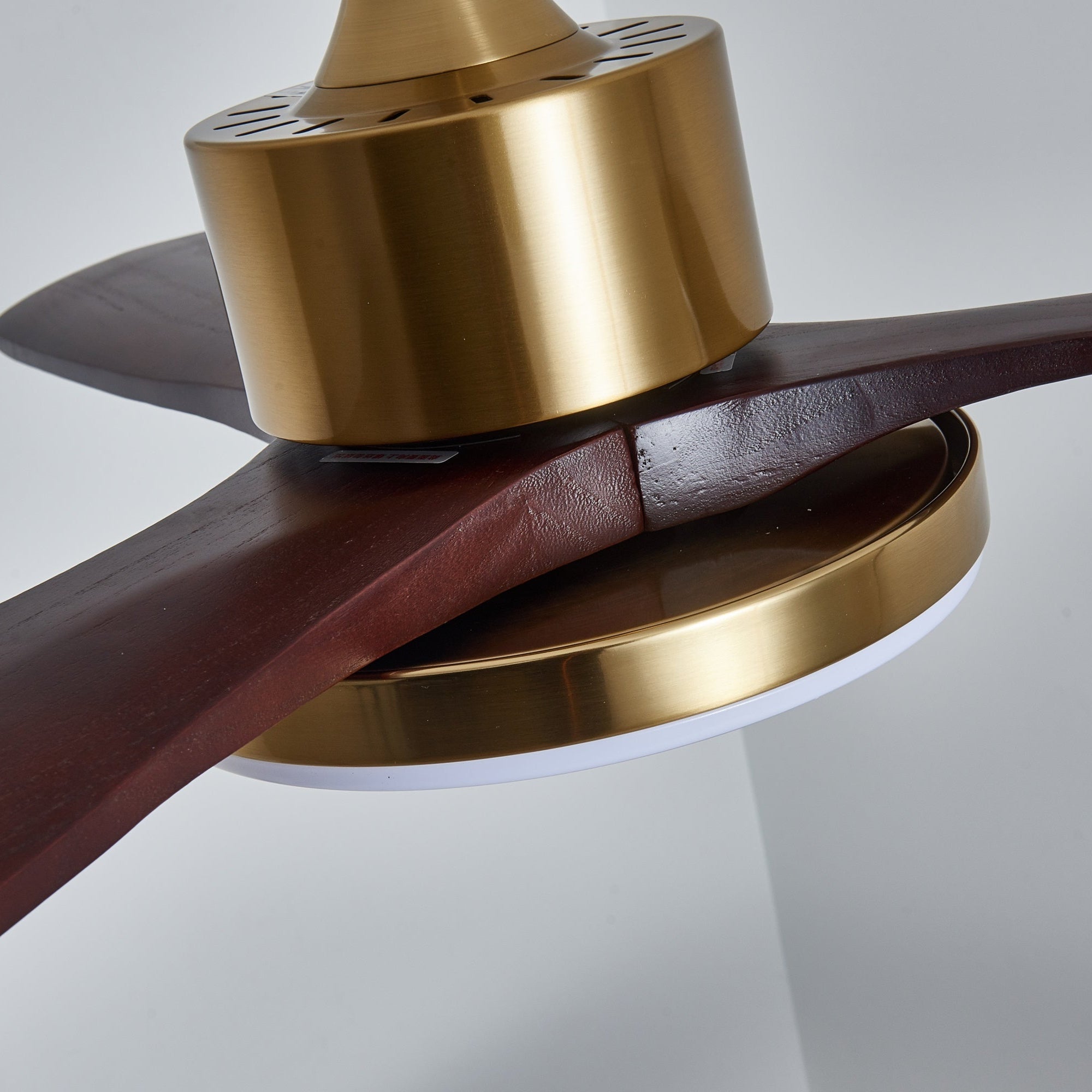 Eloria Ceiling Fan Light