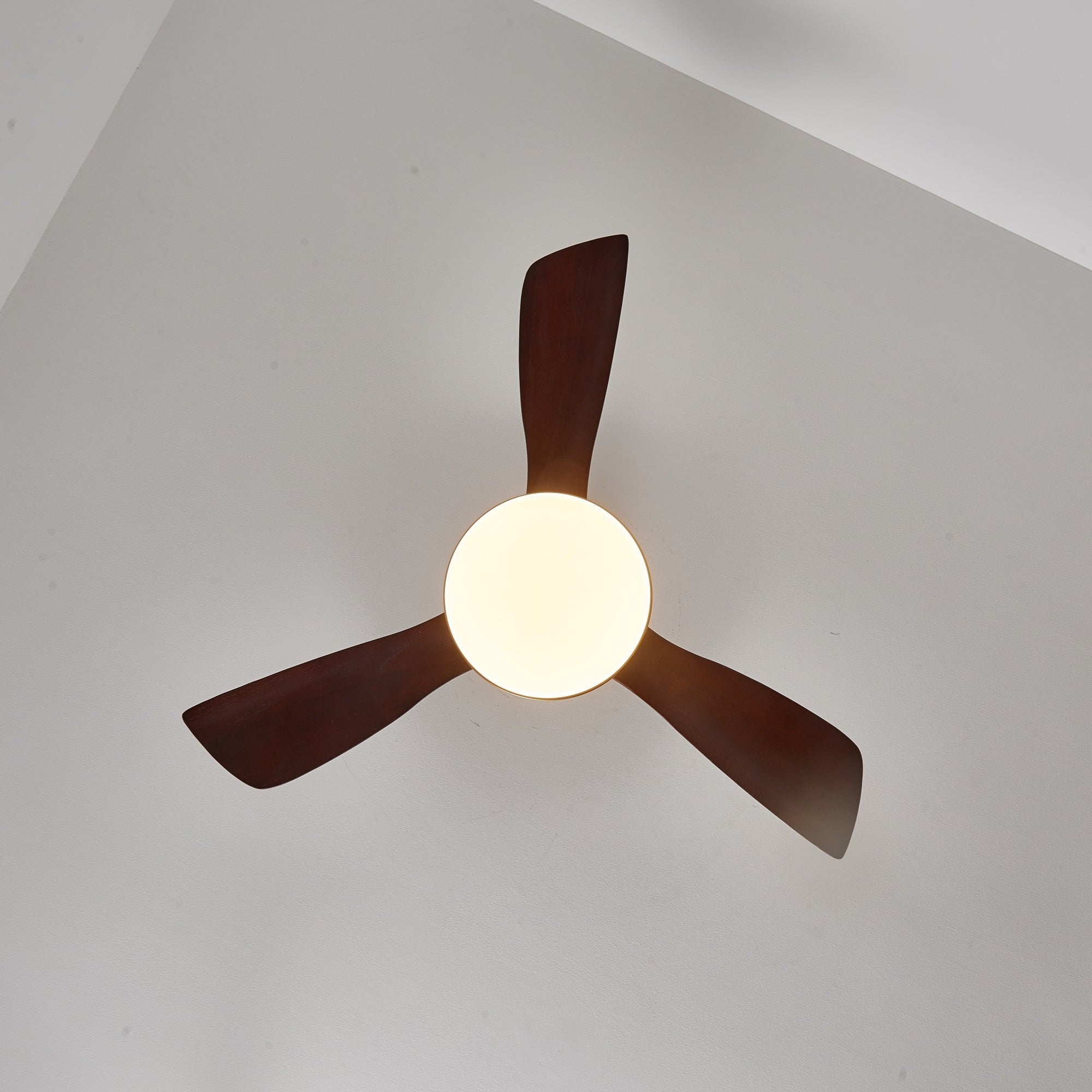 Eloria Ceiling Fan Light