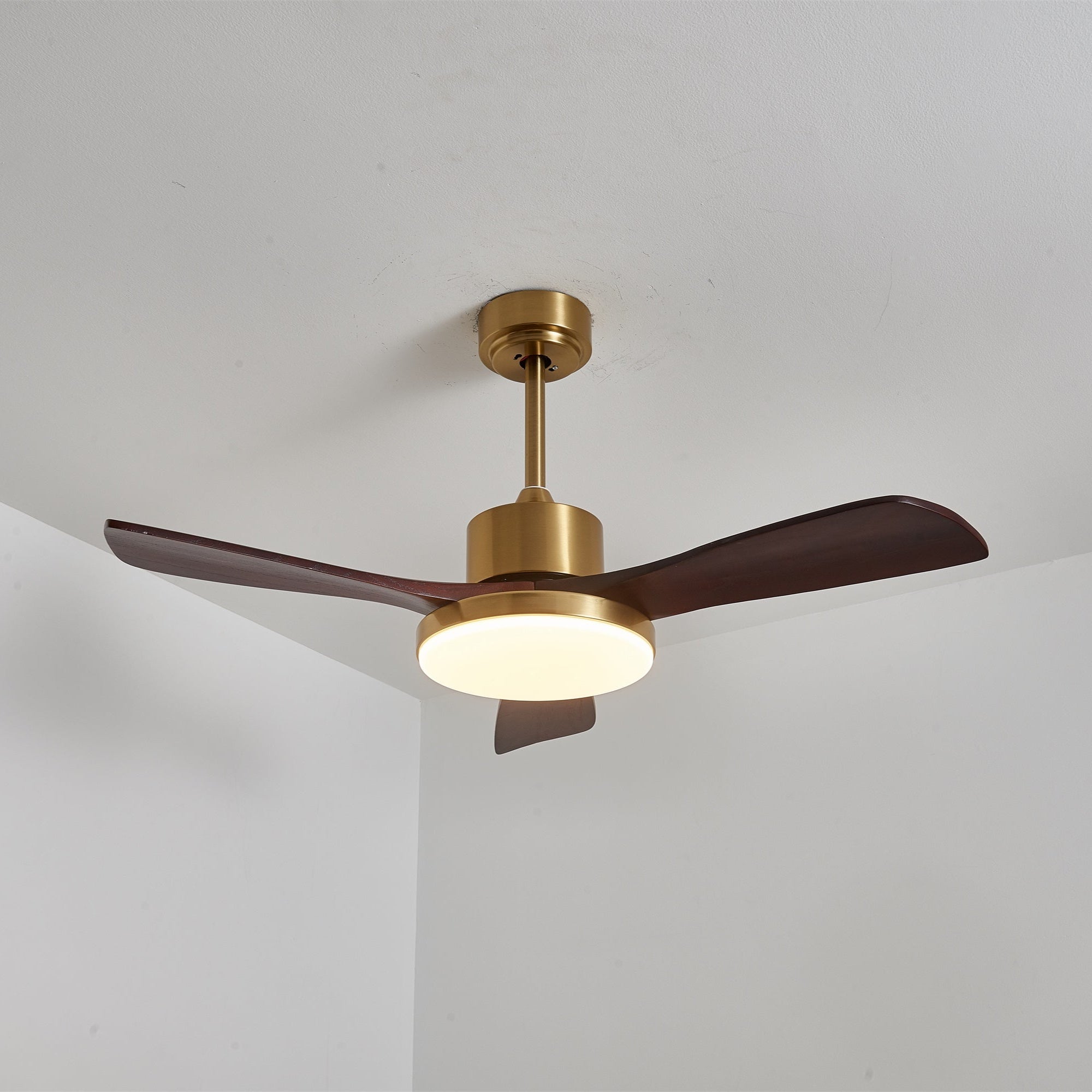 Eloria Ceiling Fan Light