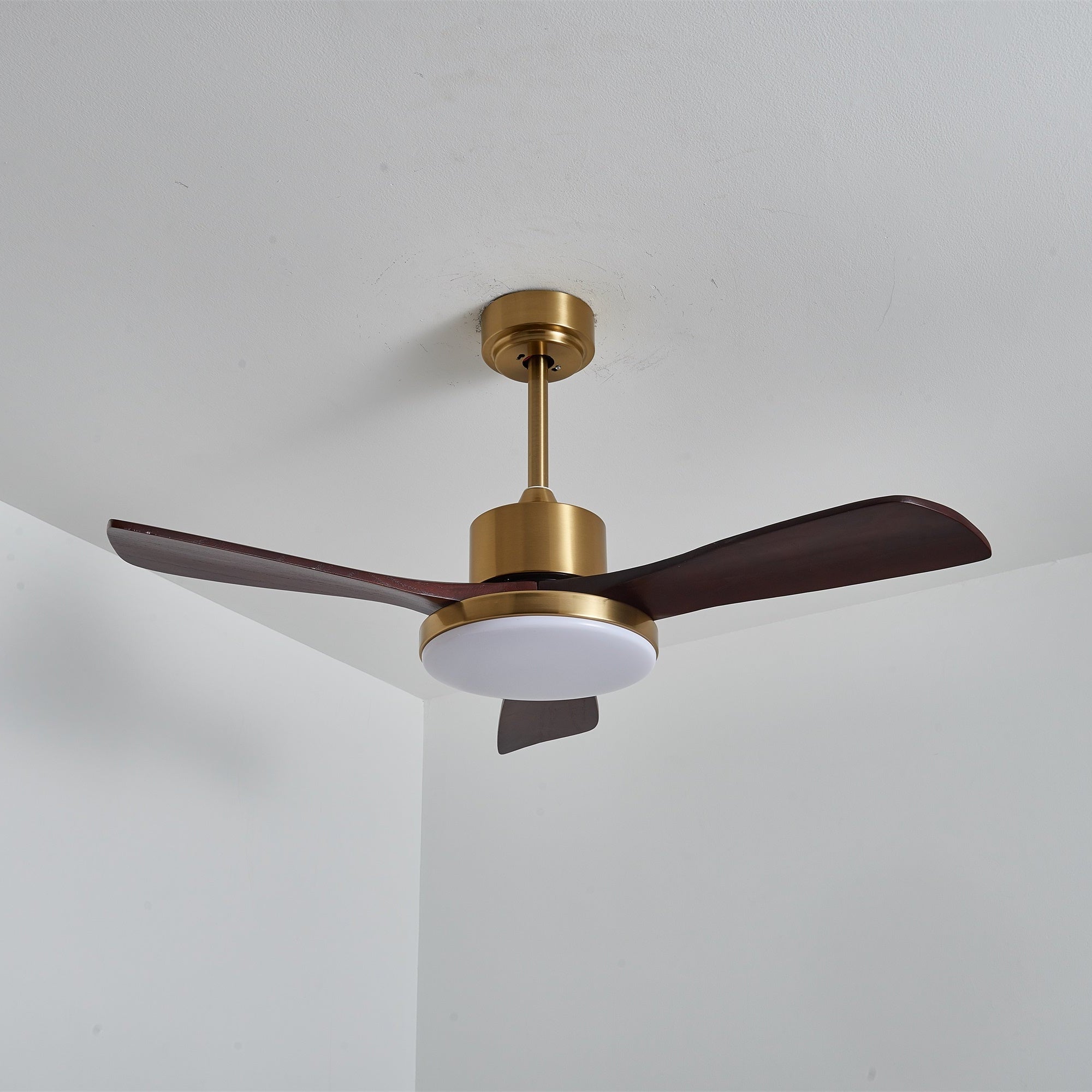 Eloria Ceiling Fan Light