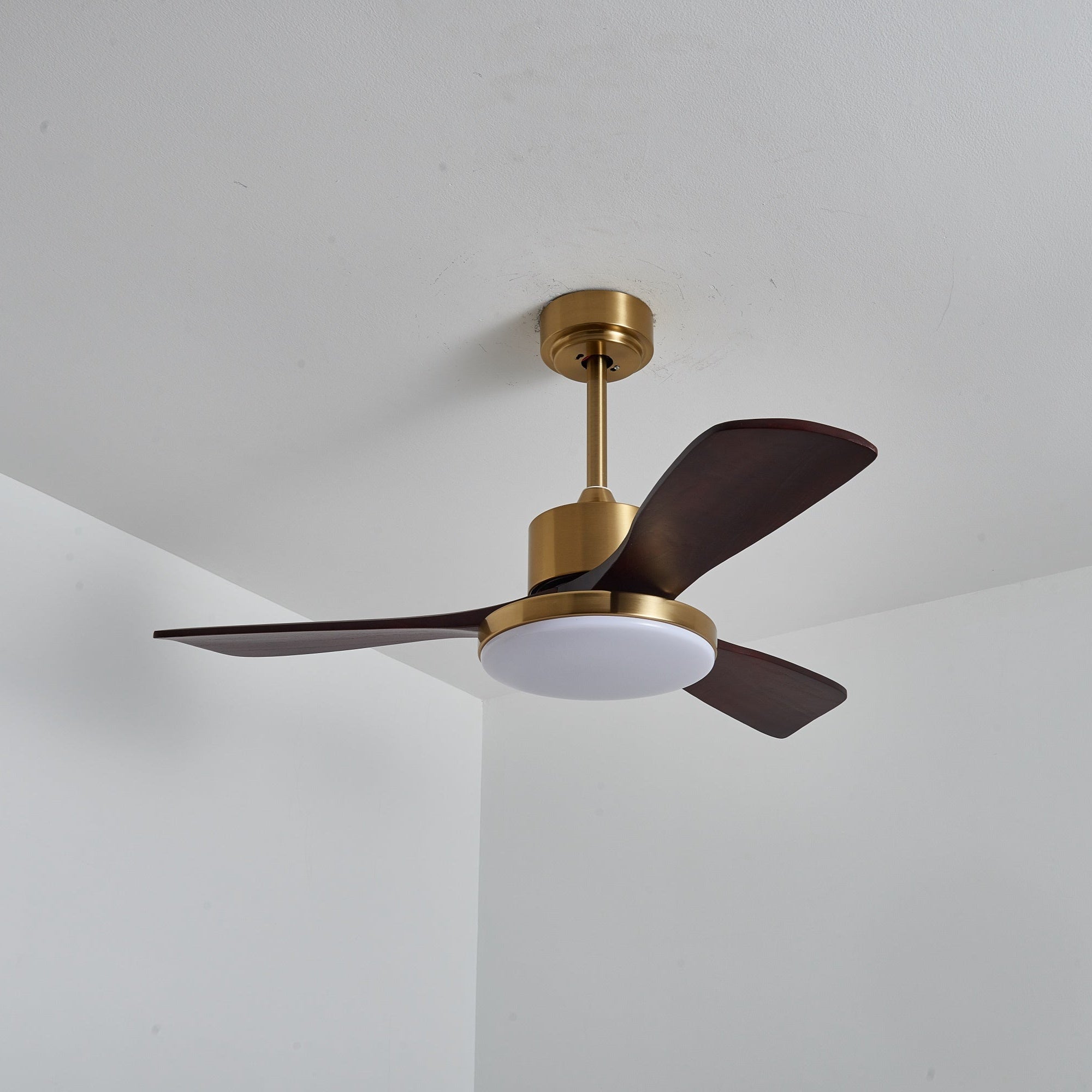 Eloria Ceiling Fan Light