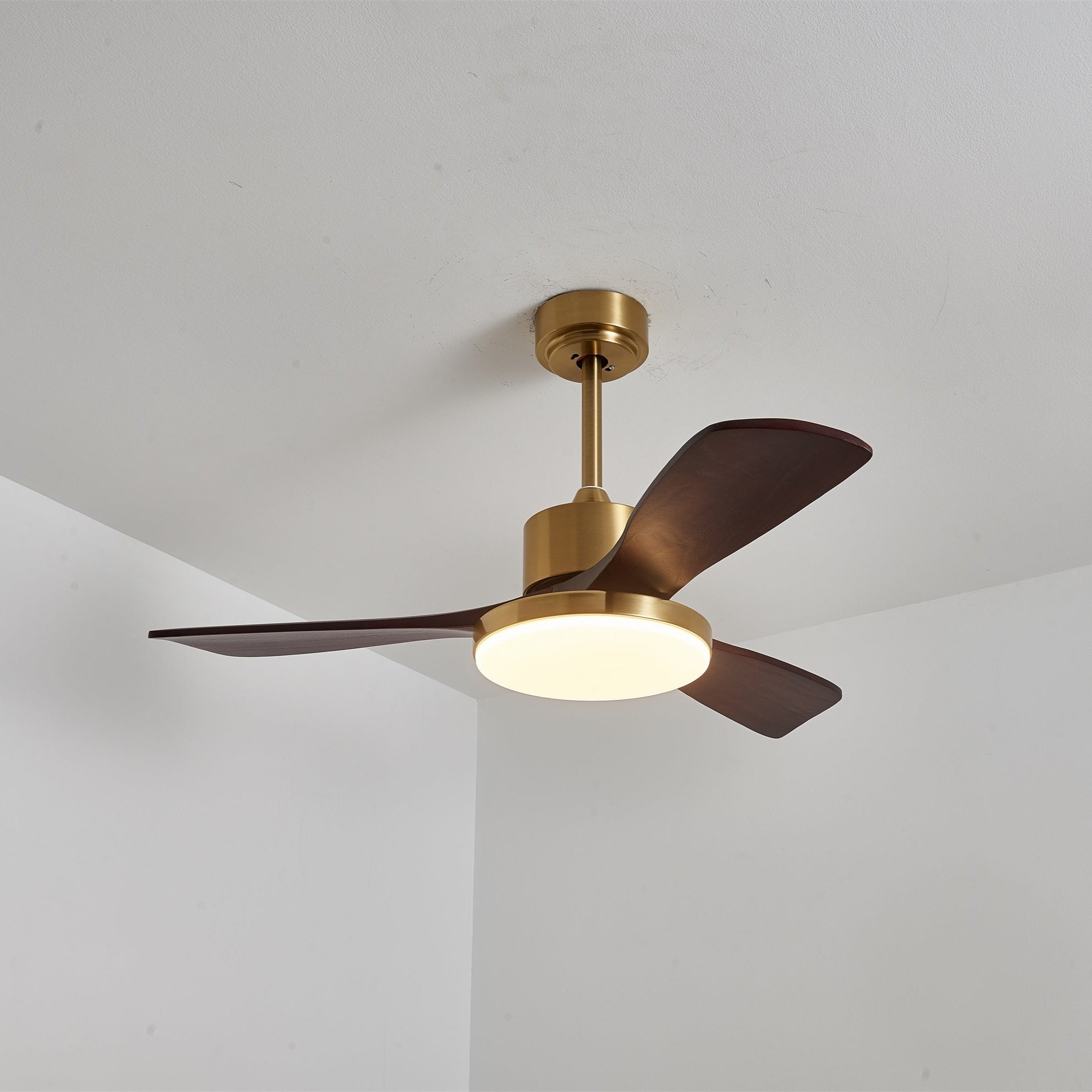 Eloria Ceiling Fan Light