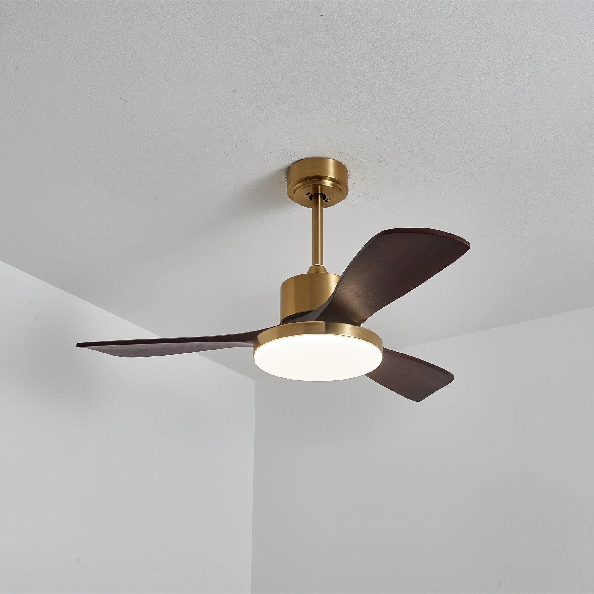 Eloria Ceiling Fan Light