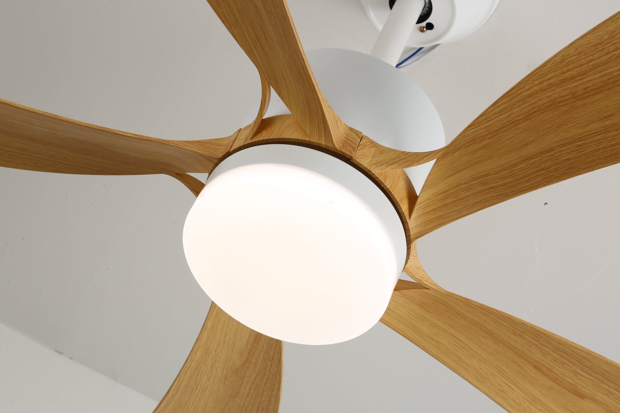 Avonero Ceiling Fan Light