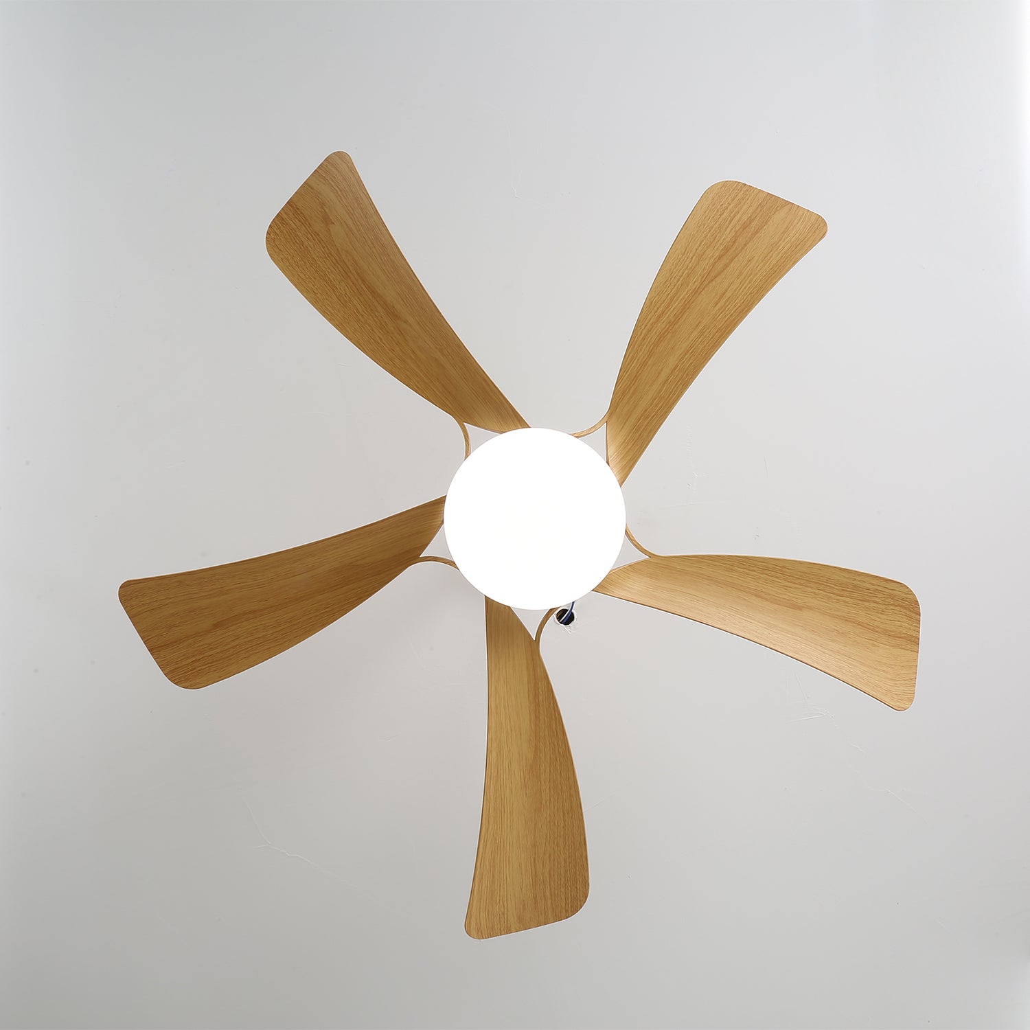 Avonero Ceiling Fan Light