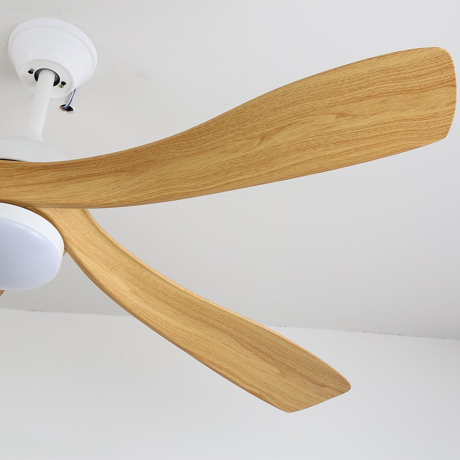 Avonero Ceiling Fan Light