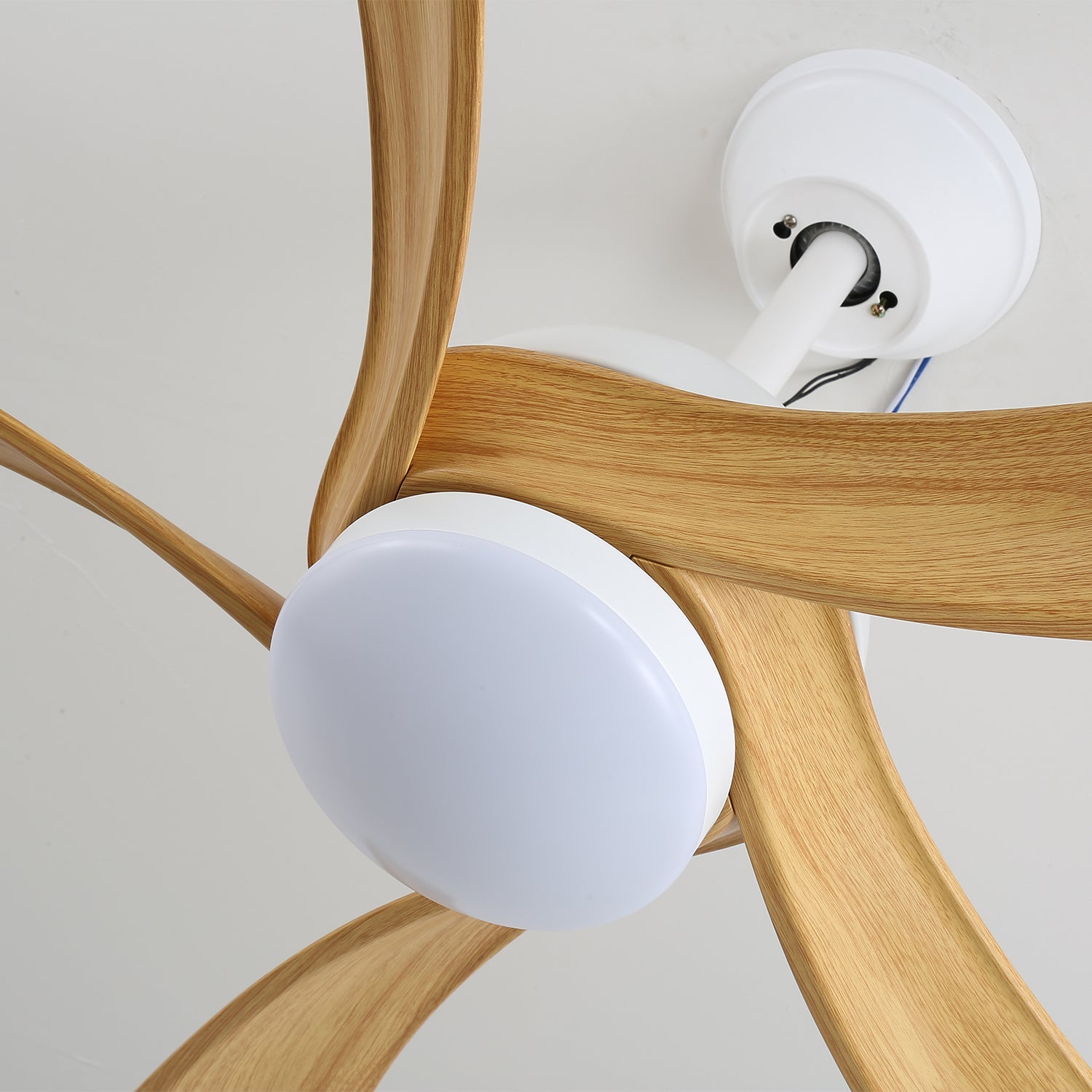 Avonero Ceiling Fan Light