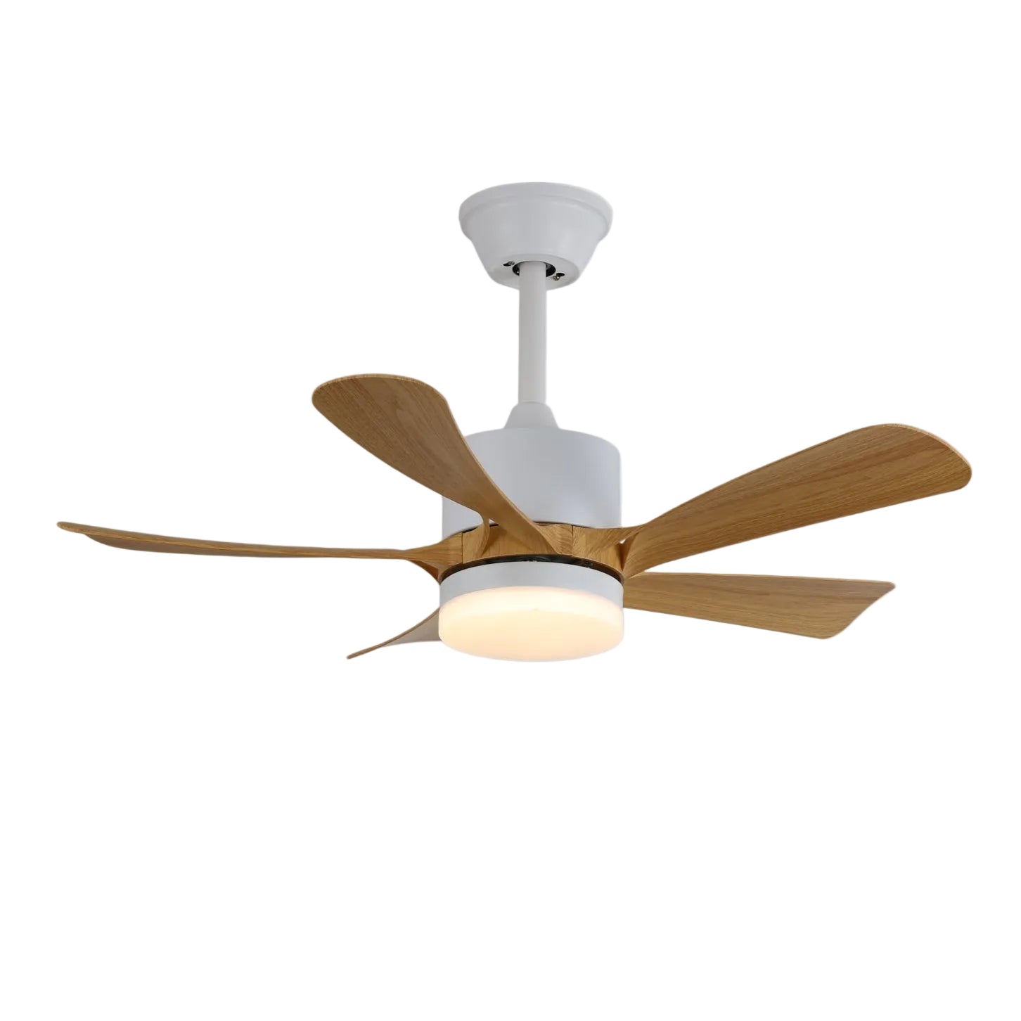Avonero Ceiling Fan Light