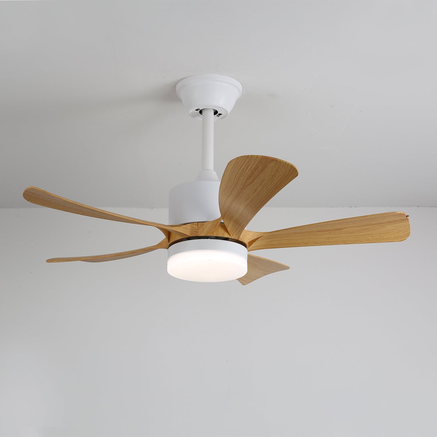 Avonero Ceiling Fan Light