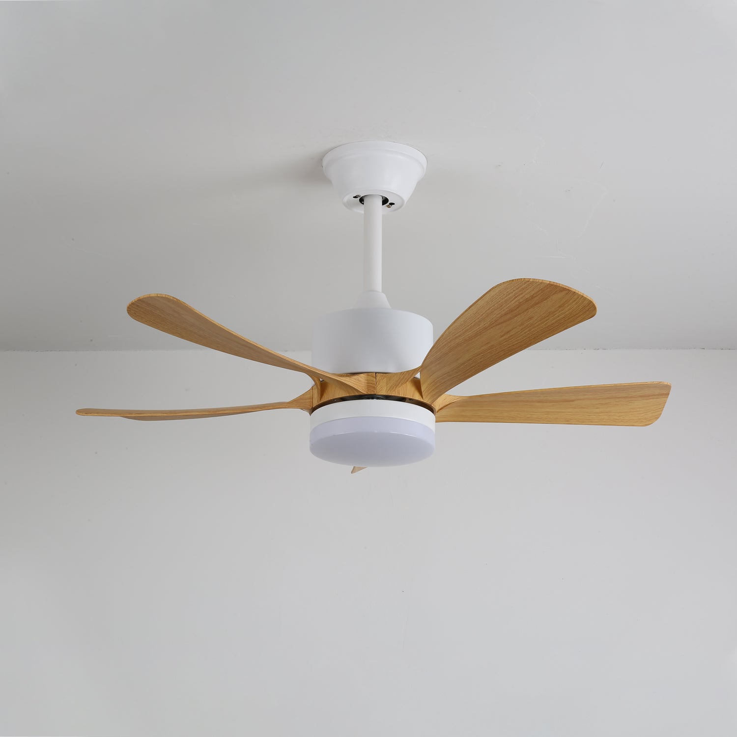 Avonero Ceiling Fan Light