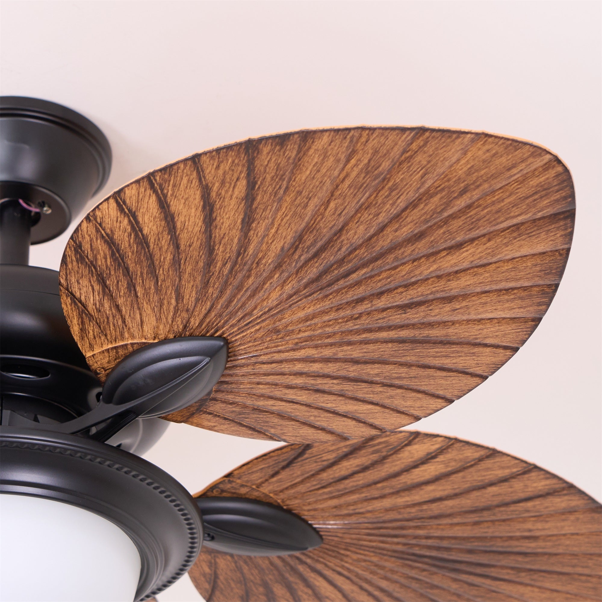 Ronera Tropical Ceiling Fan Light