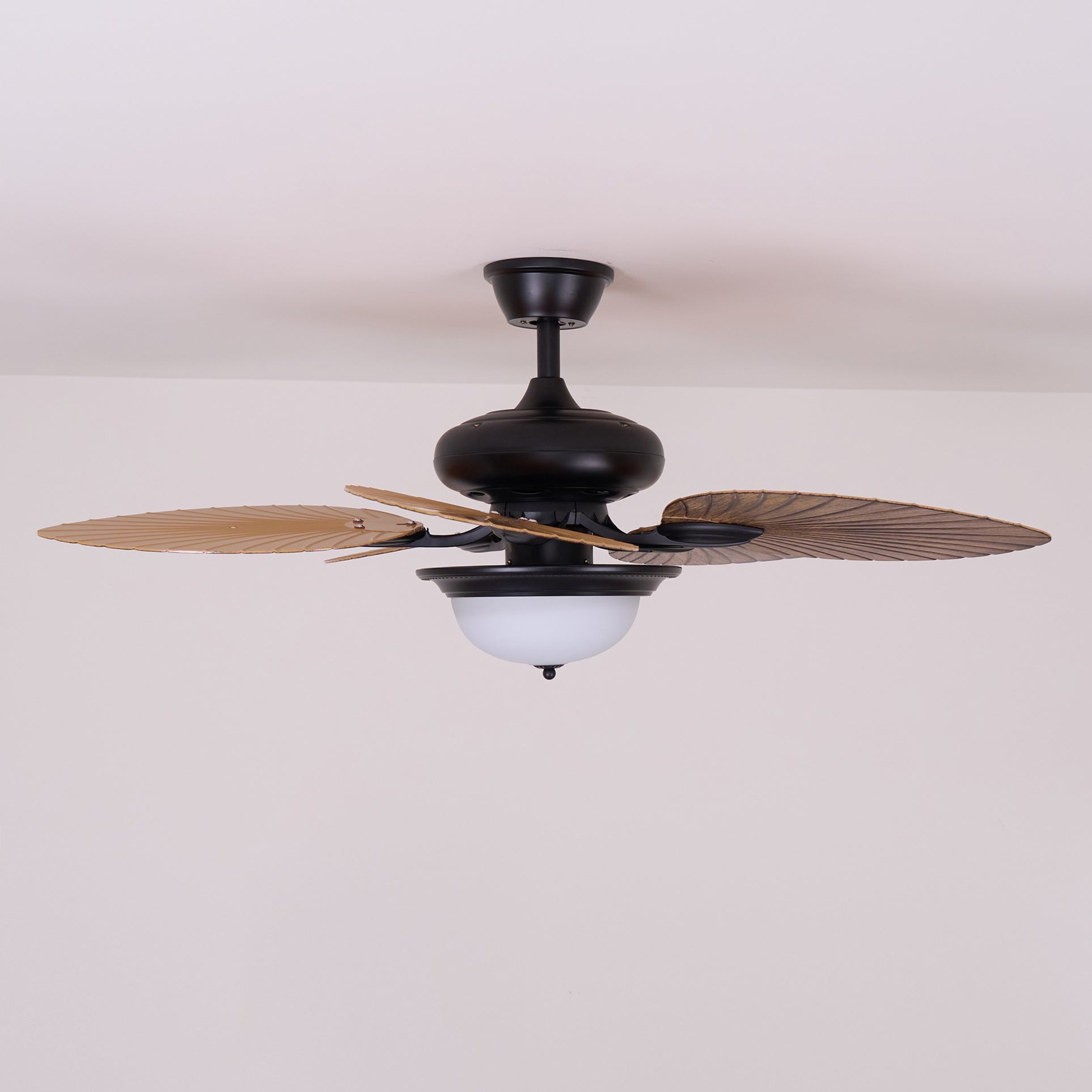 Ronera Tropical Ceiling Fan Light