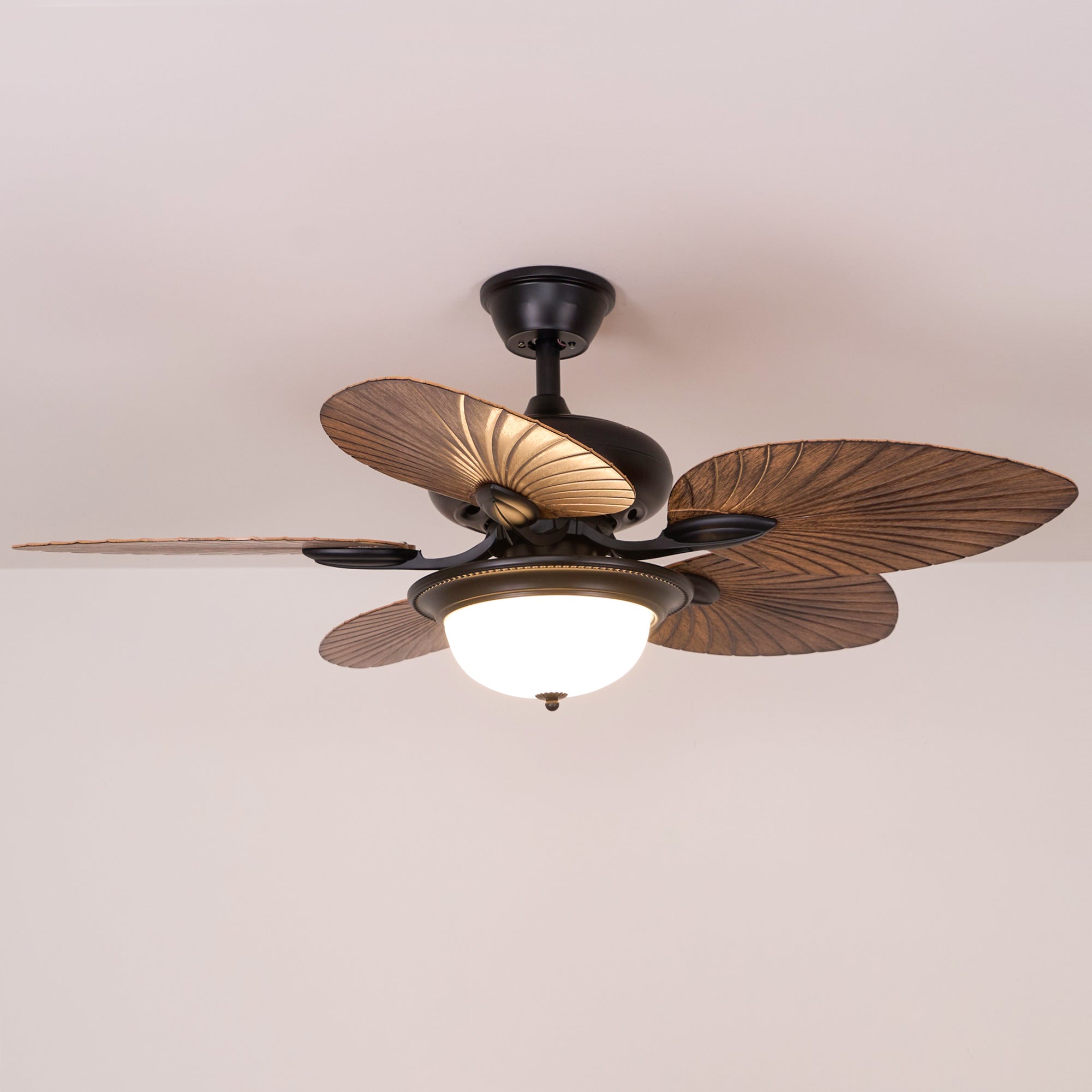 Ronera Tropical Ceiling Fan Light