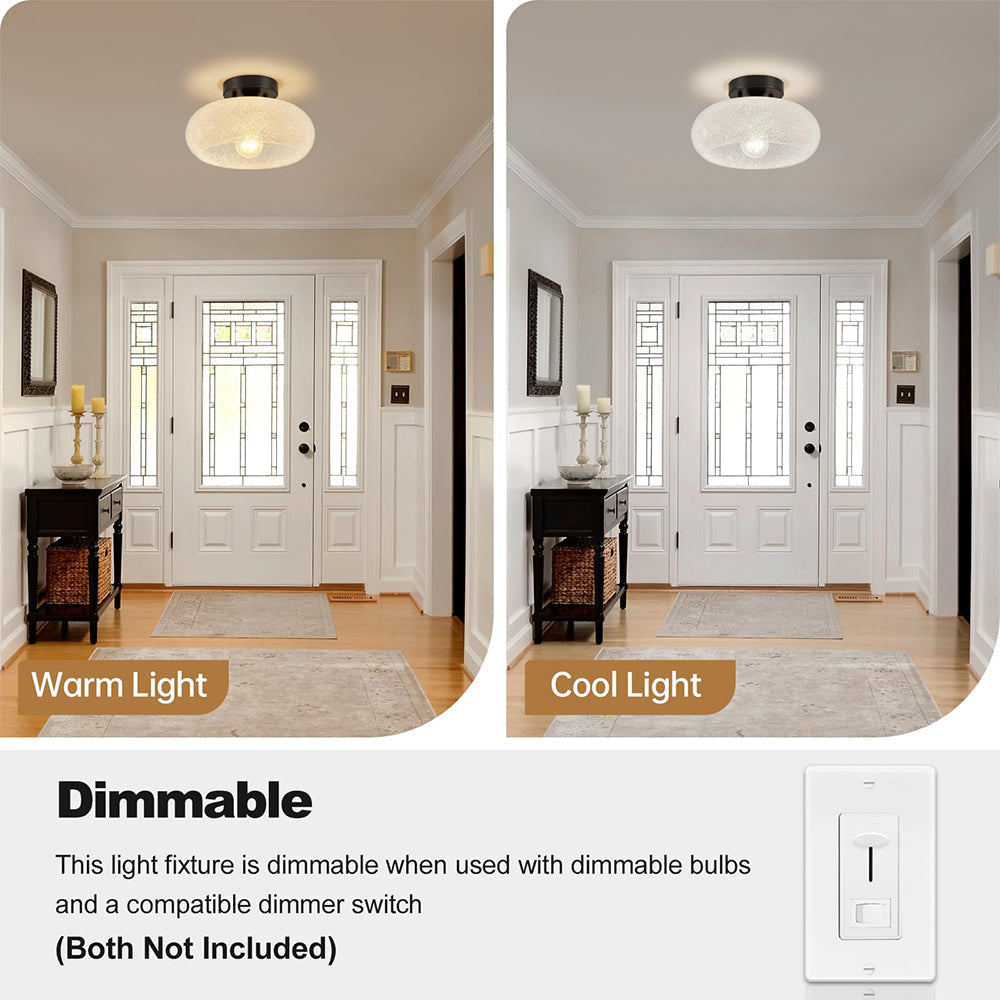 Zernilu Ceiling Light