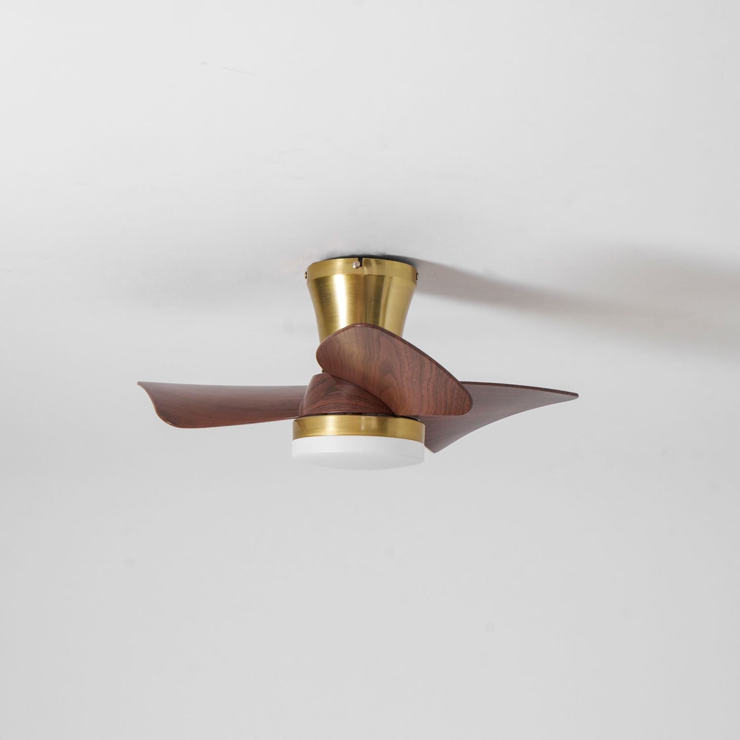Avoressa Modern Ceiling Fan Light