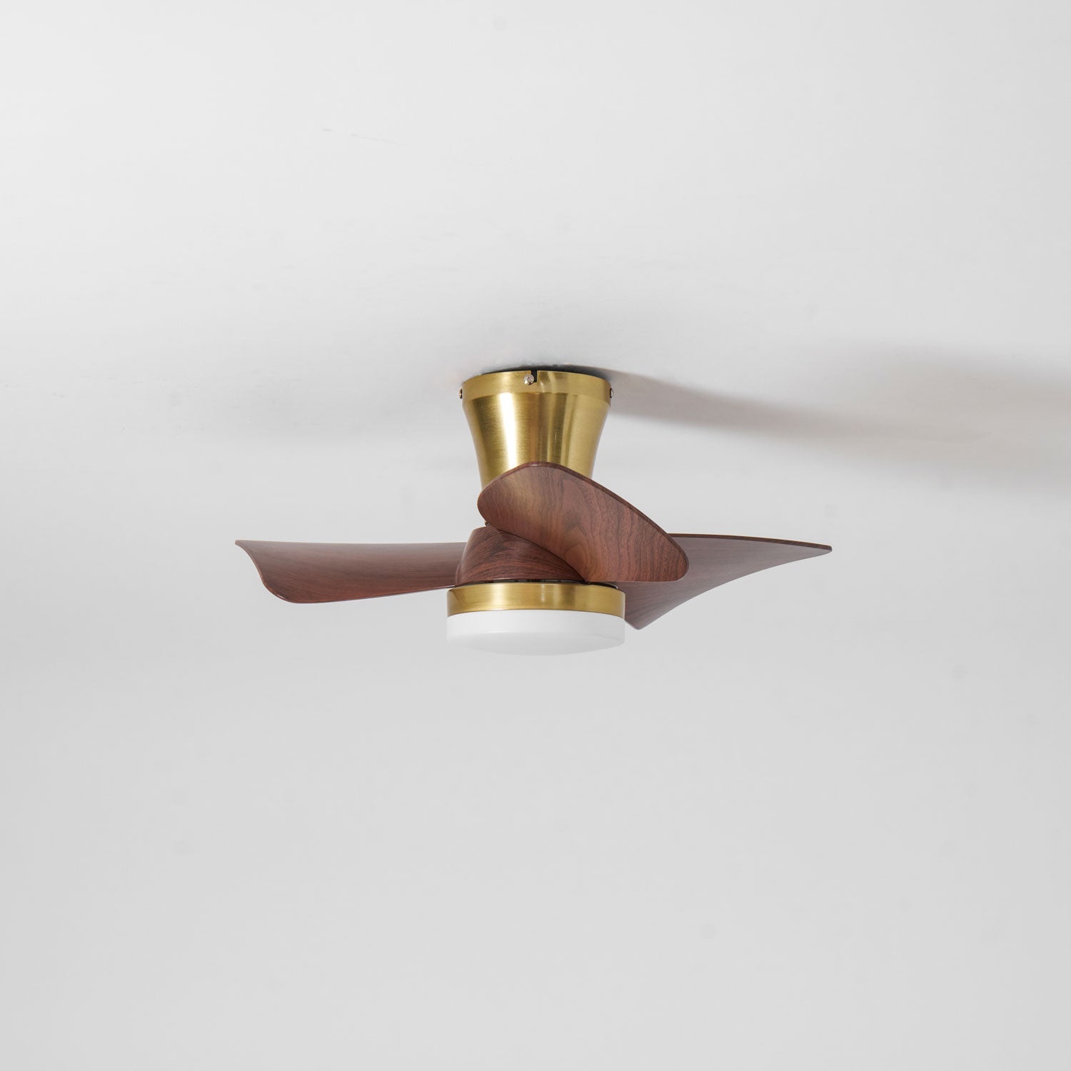 Avoressa Modern Ceiling Fan Light