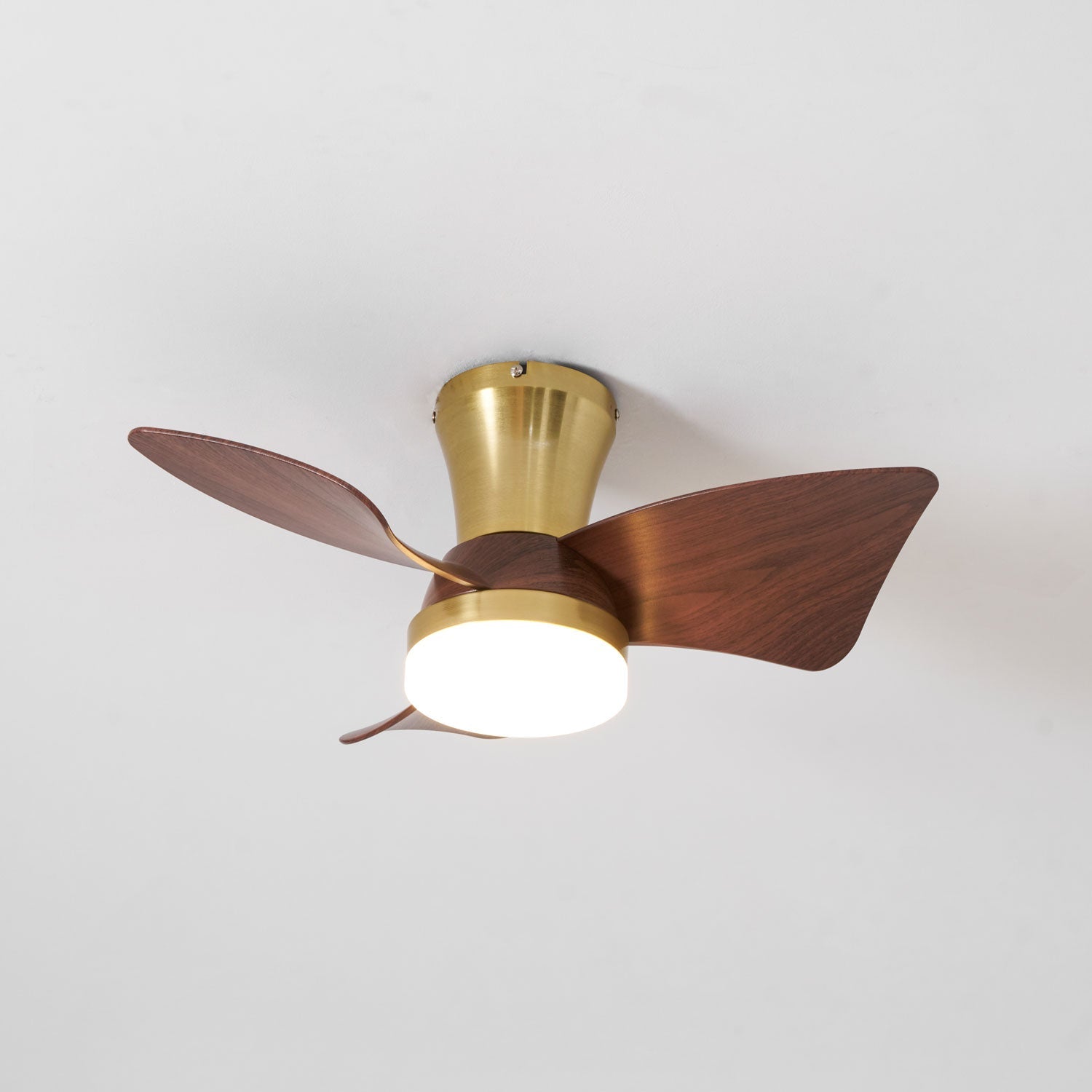 Avoressa Modern Ceiling Fan Light