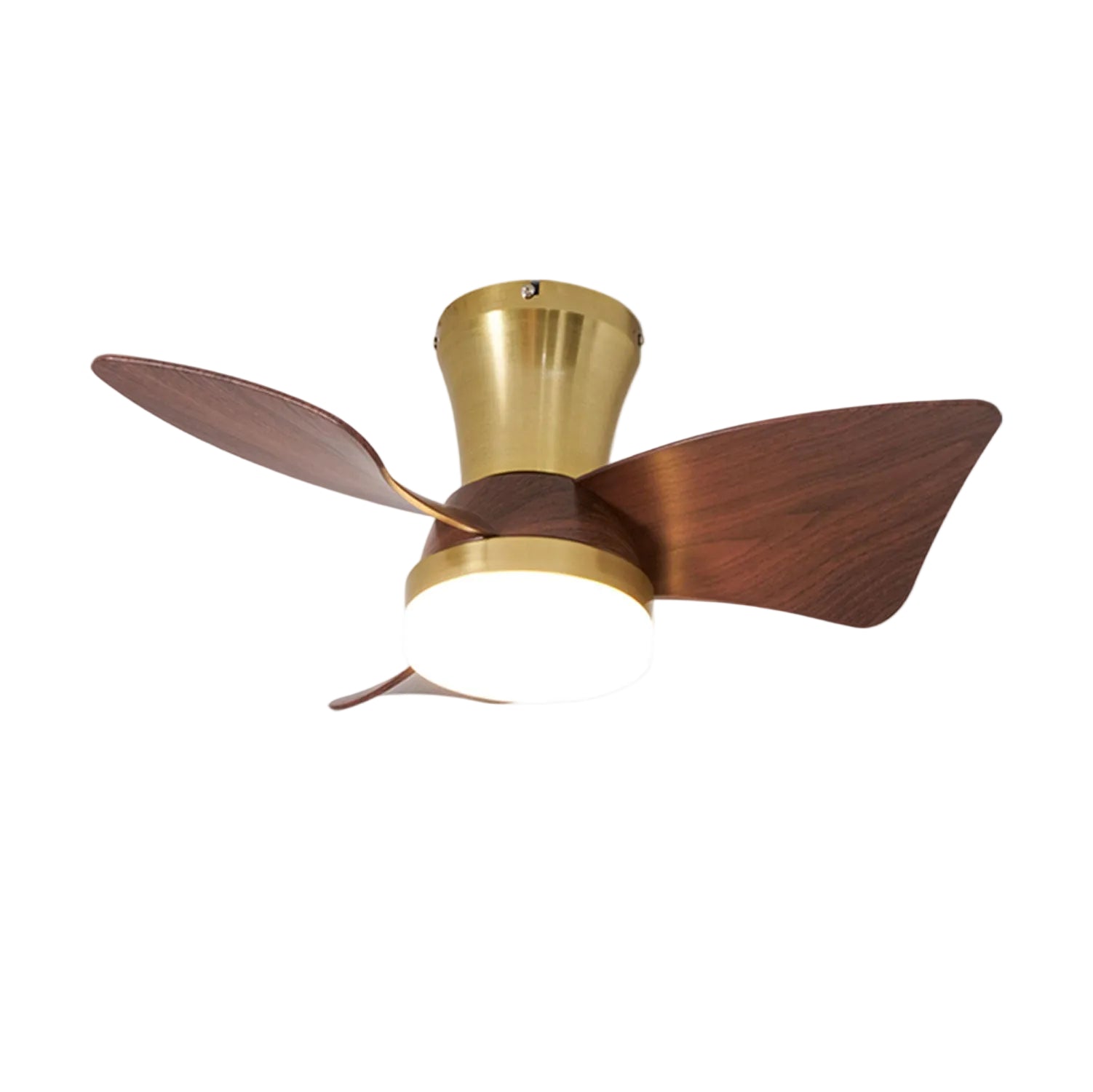 Avoressa Modern Ceiling Fan Light
