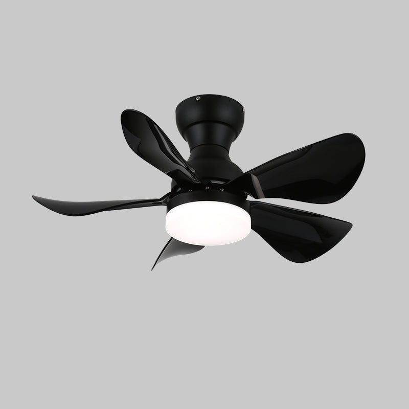 Zoreefa Ceiling Fan Light